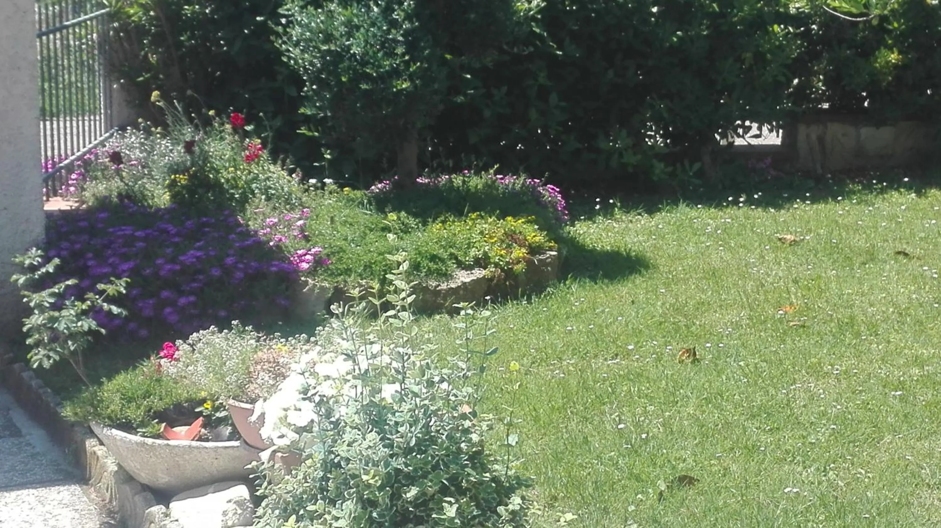 Garden in B&B RIPALTA