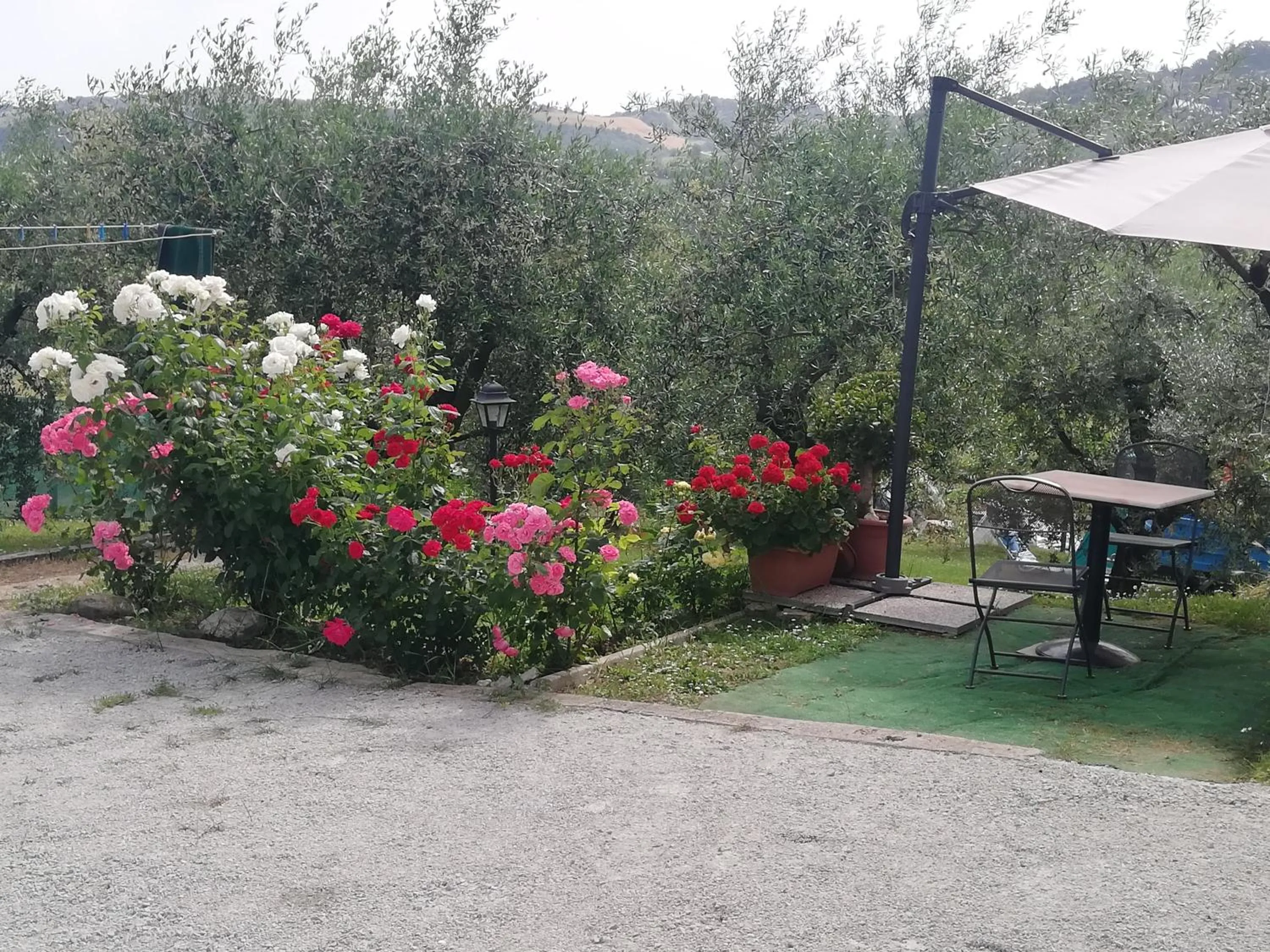 Garden view in B&B RIPALTA