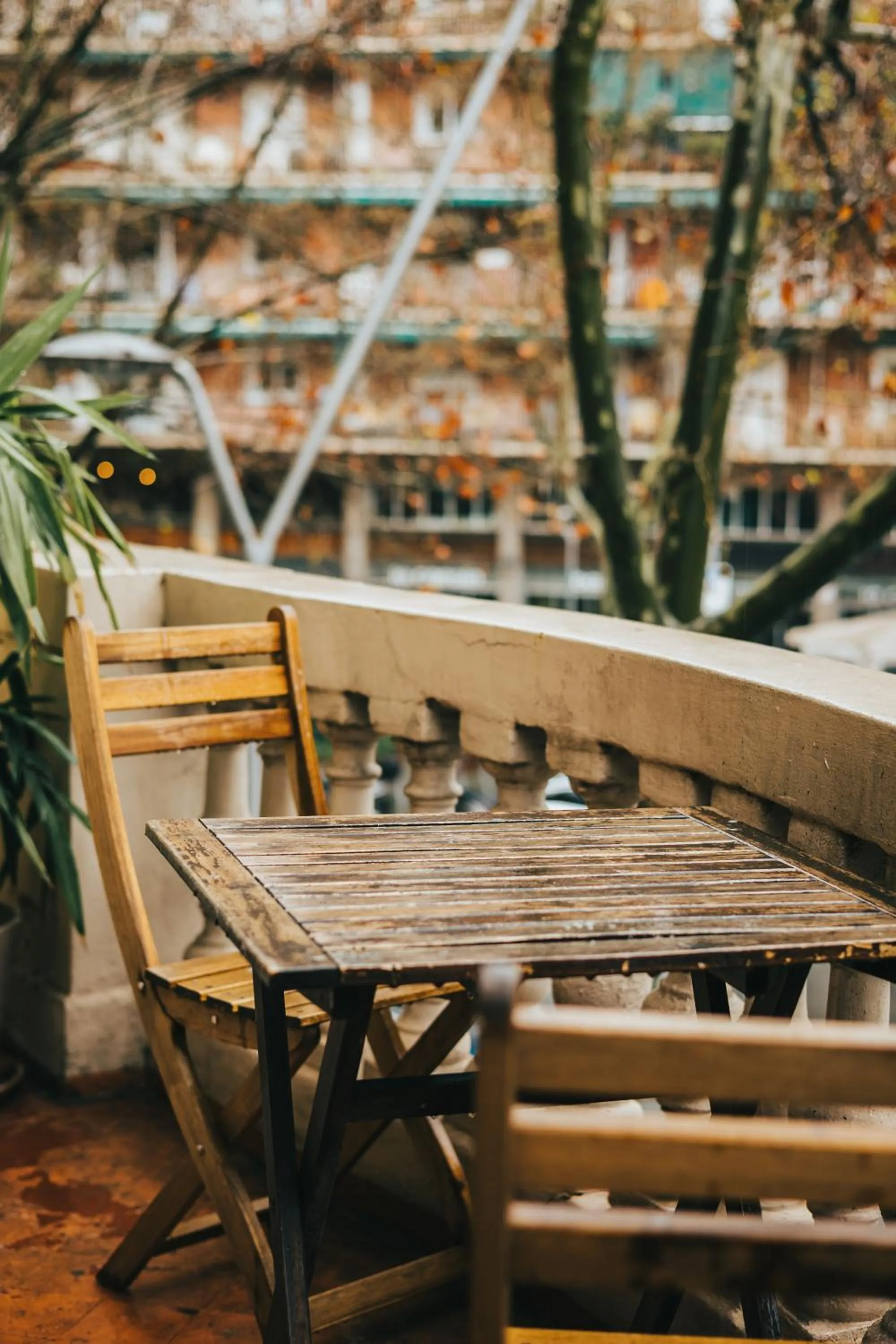 Balcony/Terrace in Bailén Green House