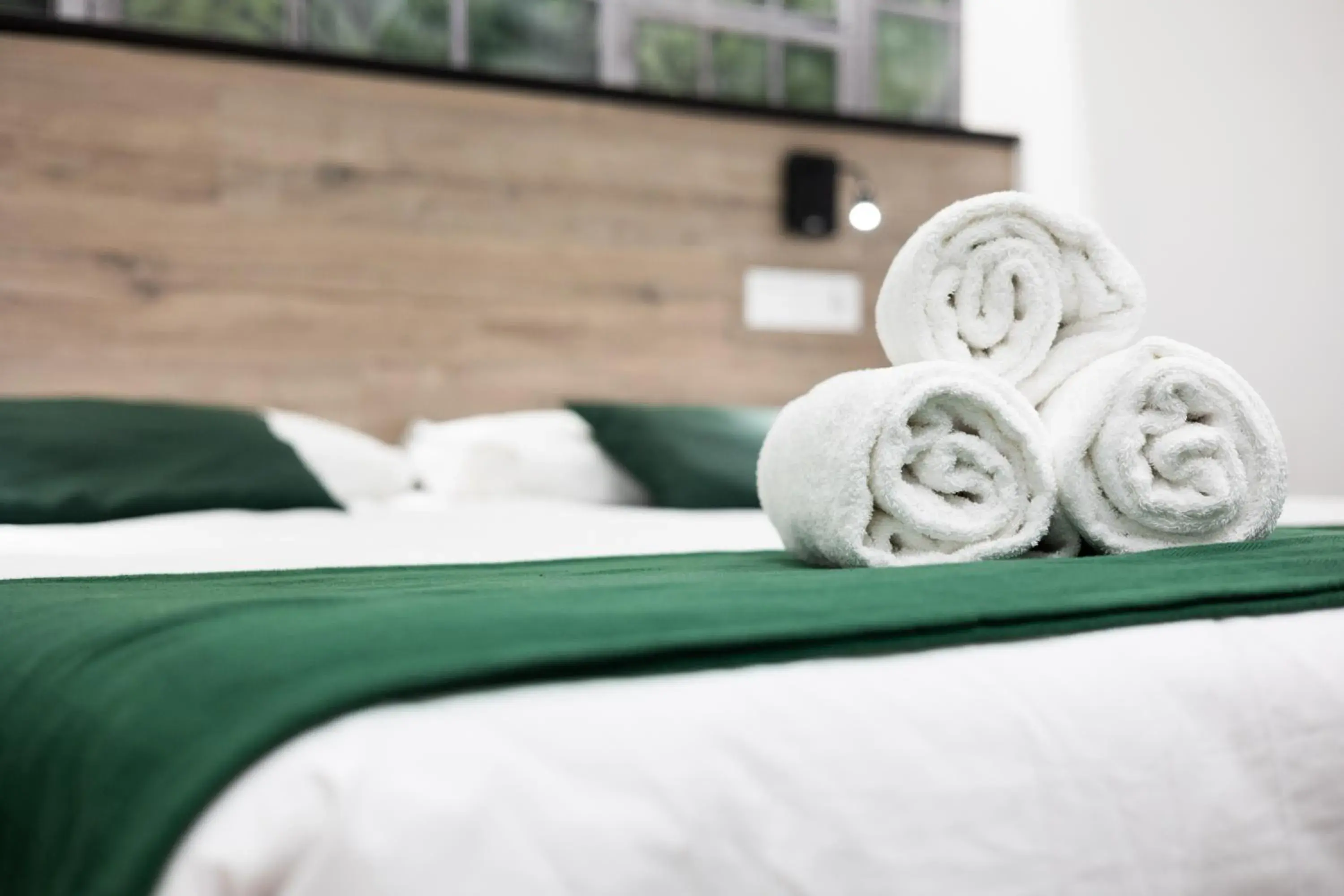 Suite with Balcony in Bailén Green House Suite with Balcony in Bailén Green House