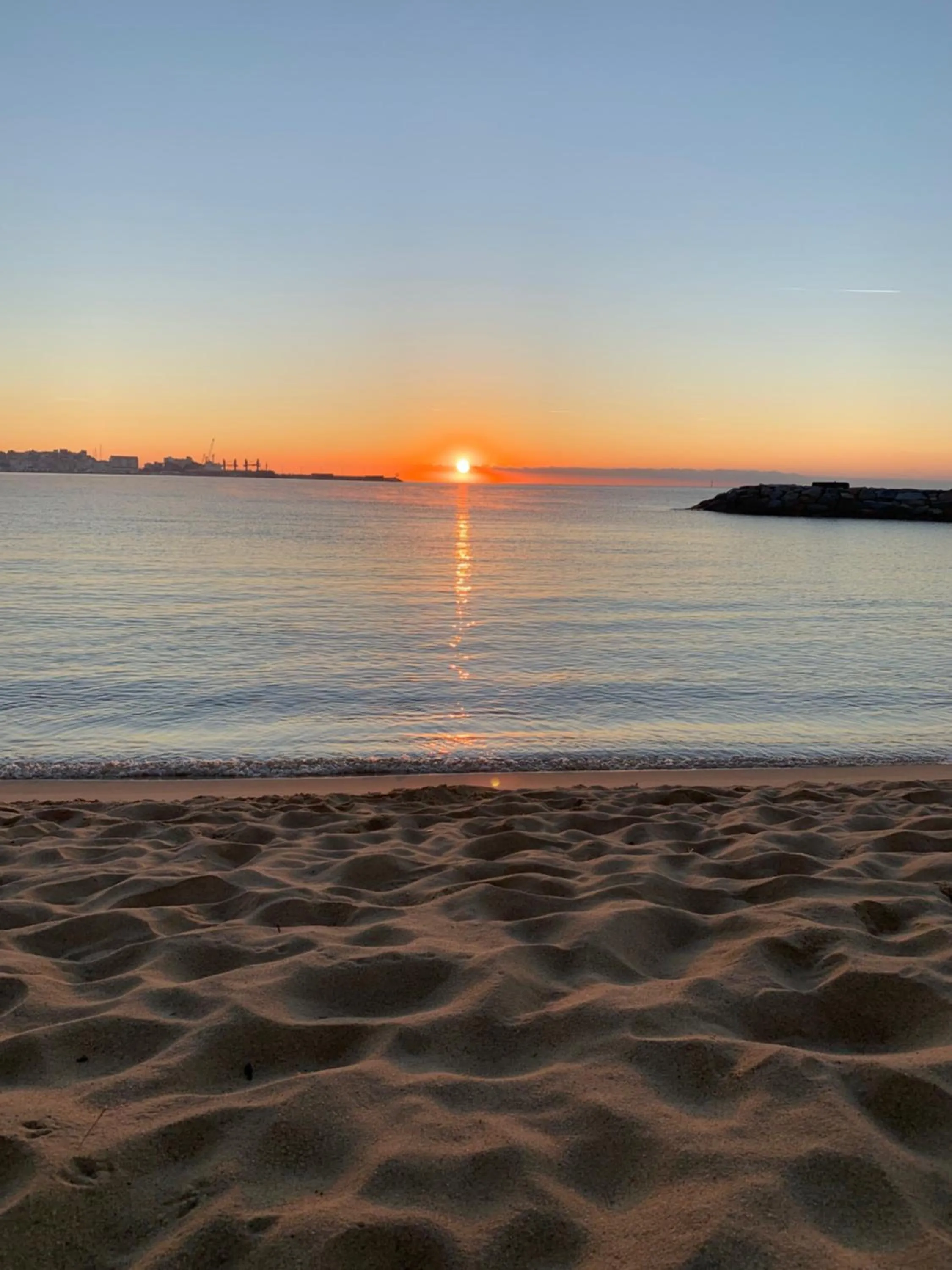 Natural landscape in Hotel Rosamar