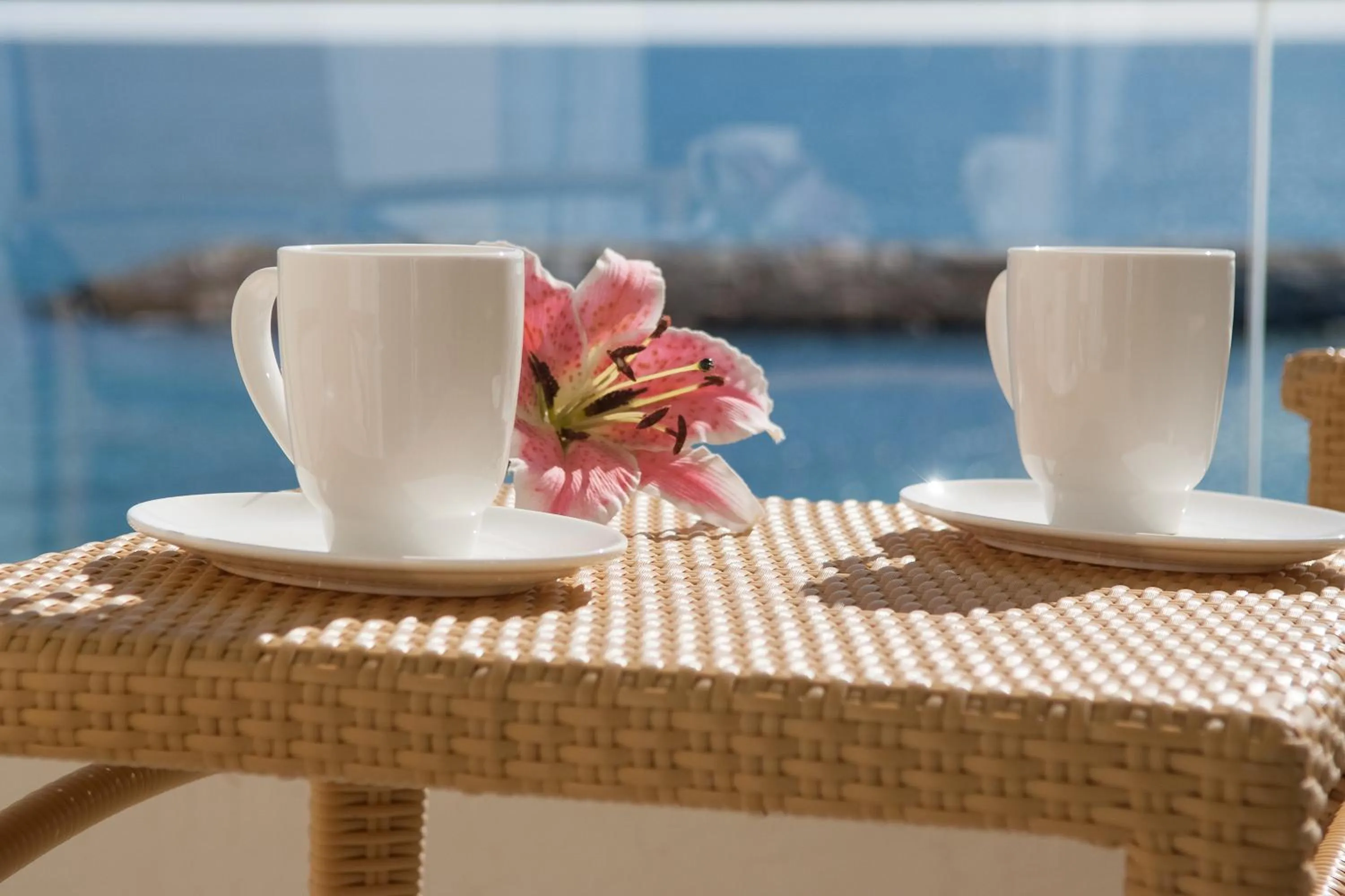 Decorative detail in Hotel Rosamar