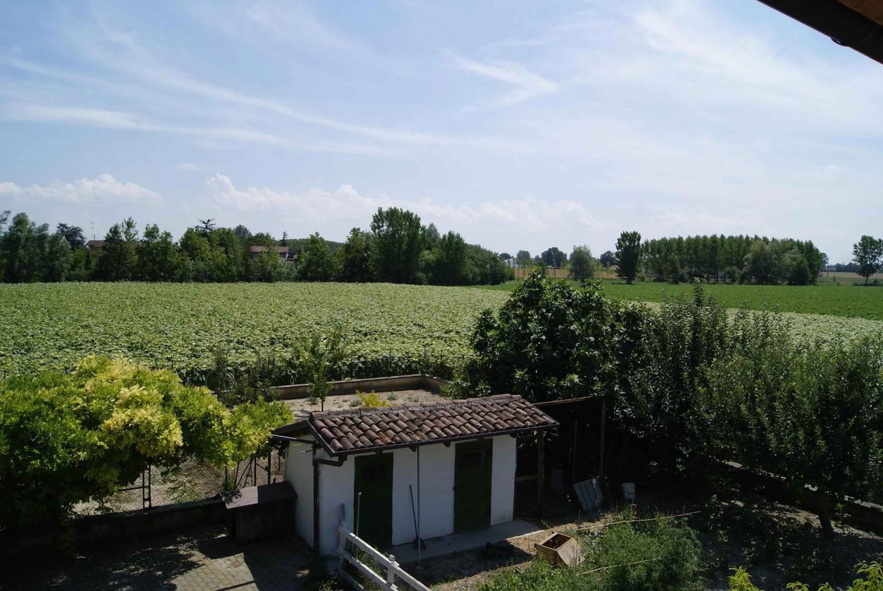 Garden view in Antico Pioppo