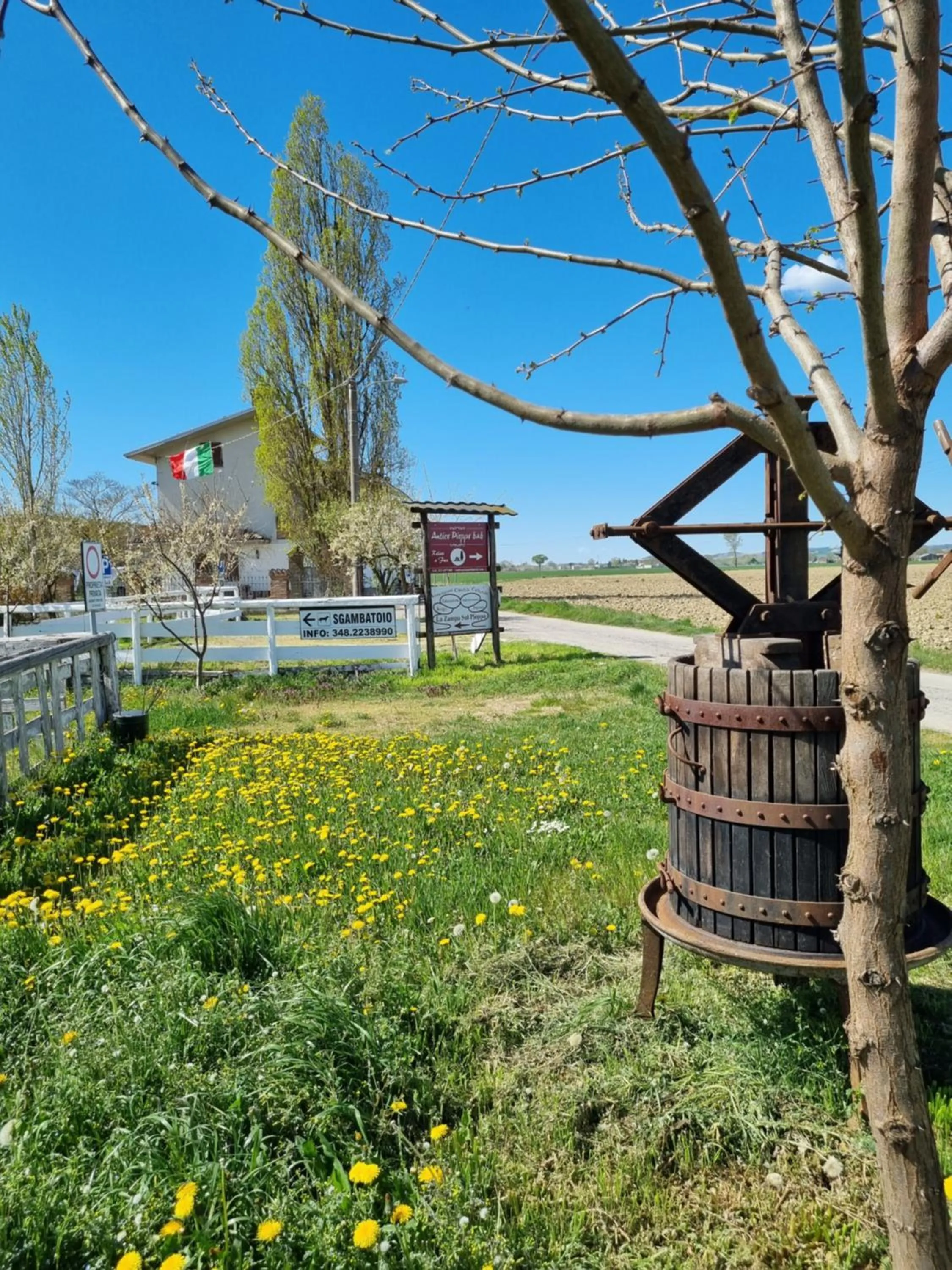 View (from property/room) in Antico Pioppo