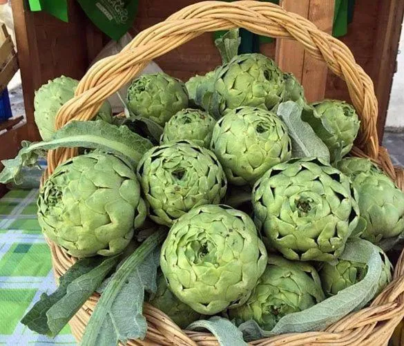 Property building in L'Oasi