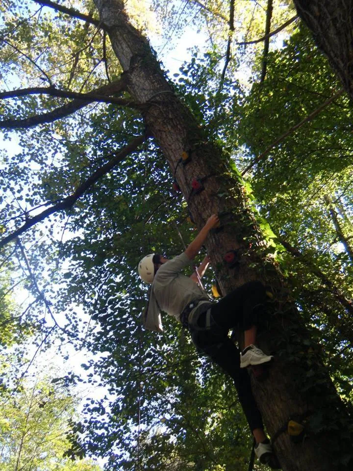 Property building in L'Oasi