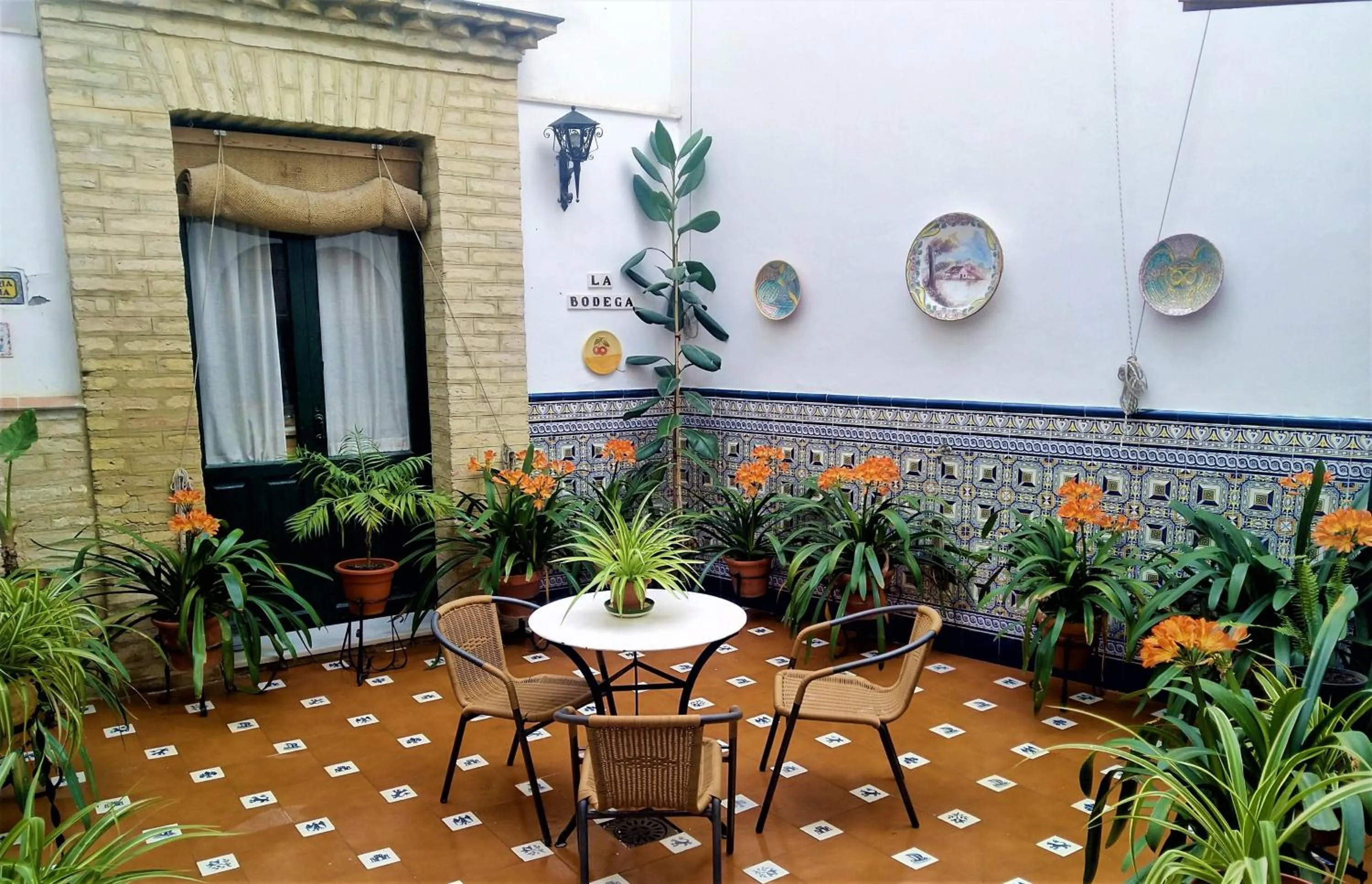 Patio in Hostal Bellido