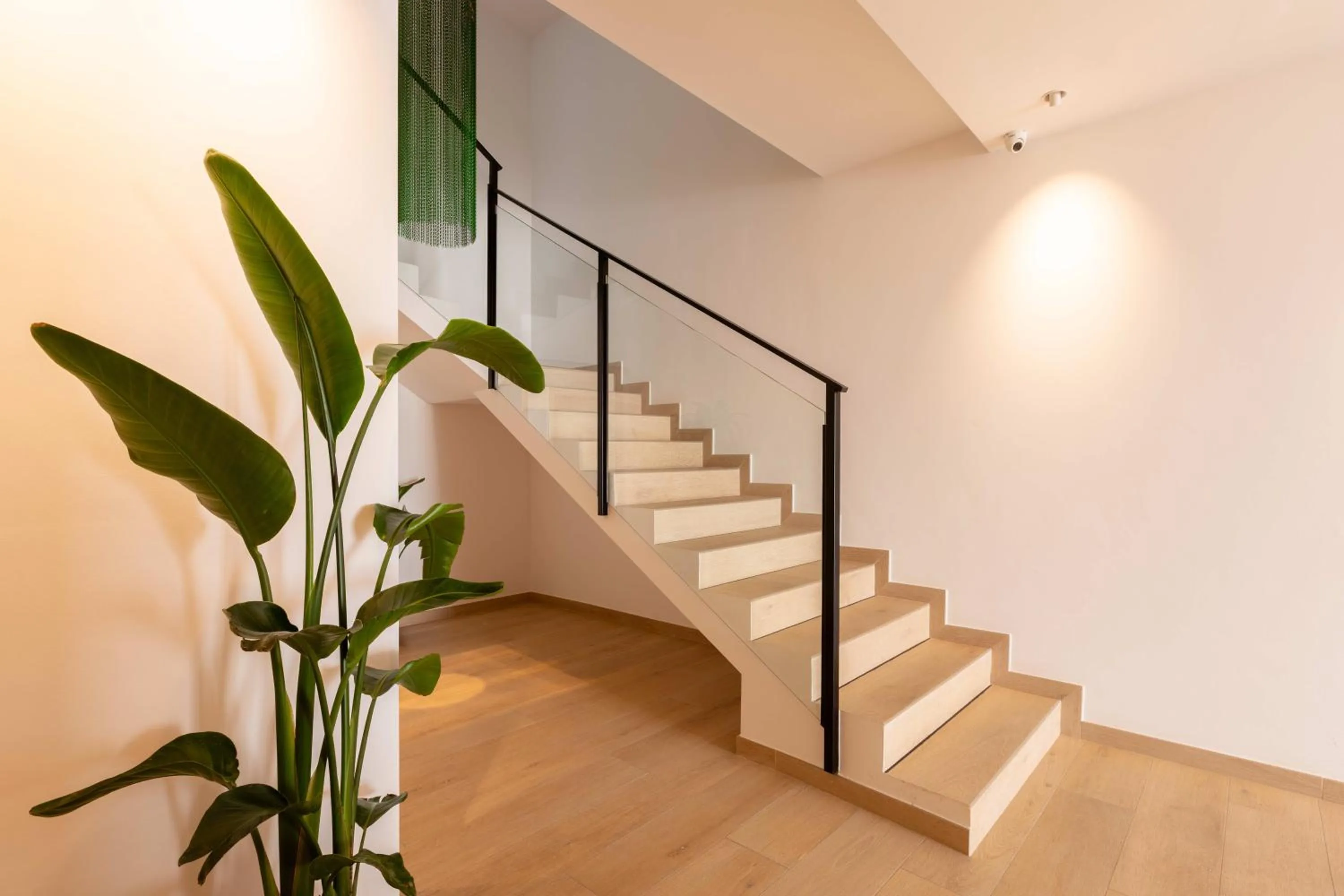 Property building in Hostal Marí