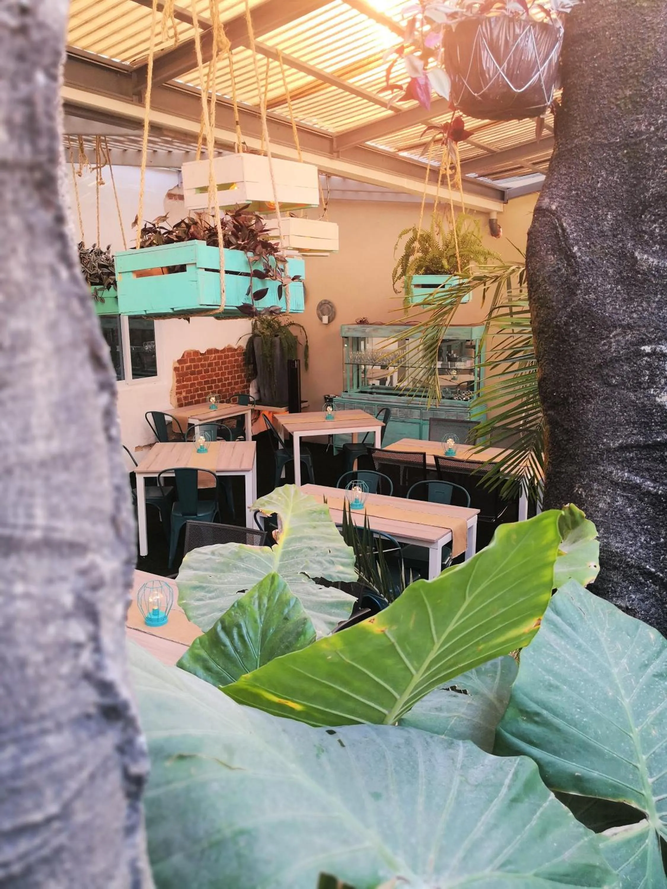 Garden in Meraki Boutique Hotel