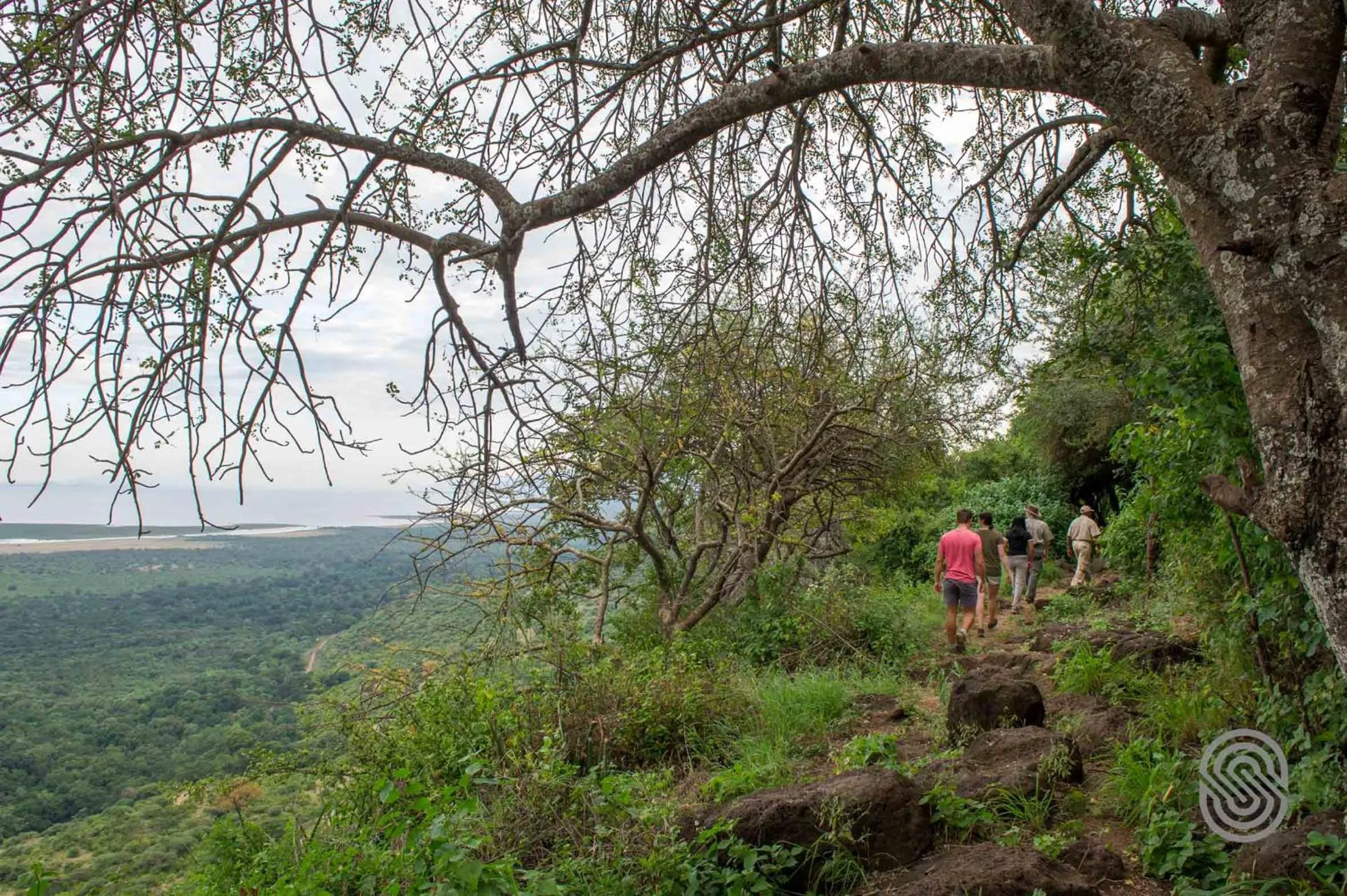 Activities in Lake Manyara Serena Safari Lodge