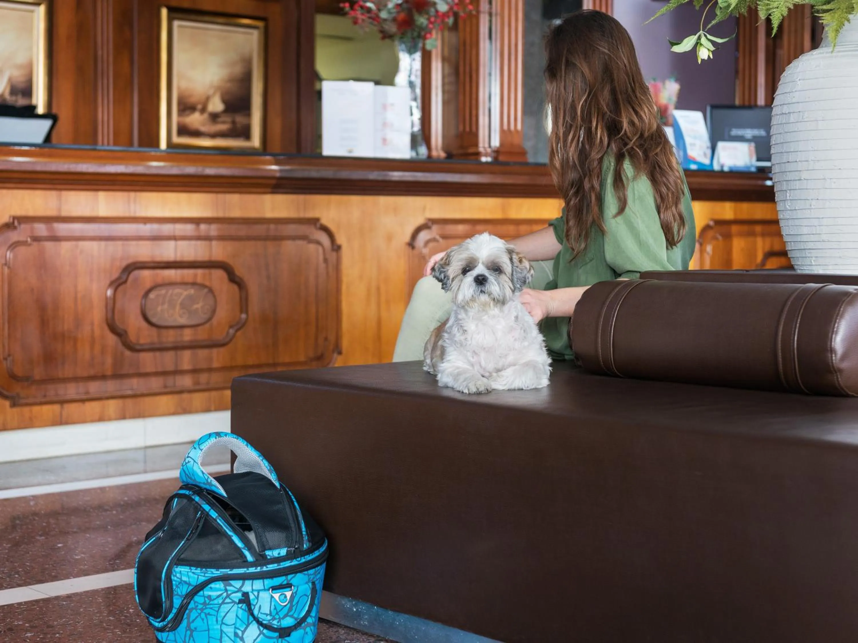 Pets in Hotel Torre Azul & Spa - Adults Only