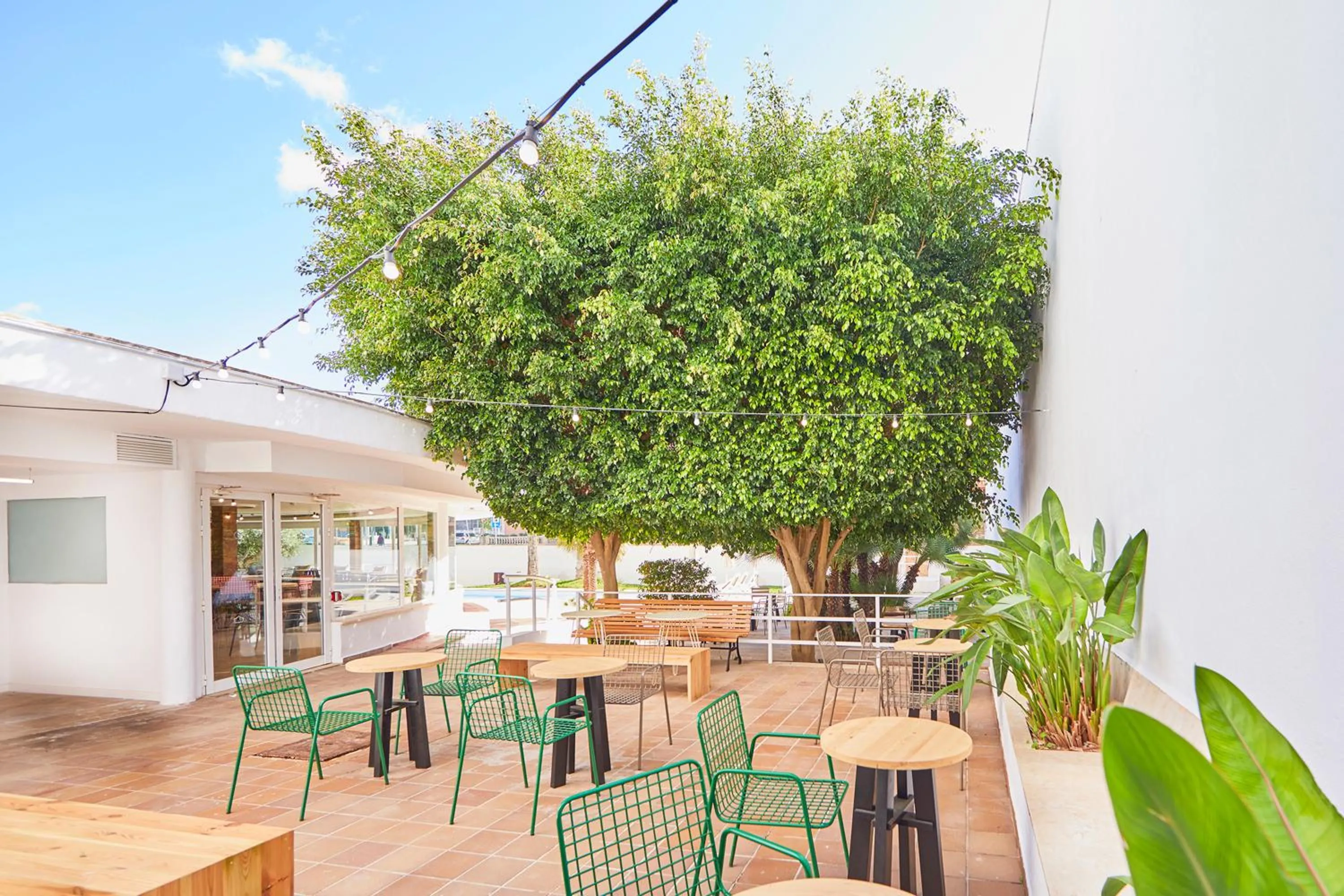 Buffet breakfast in tent Playa de Palma