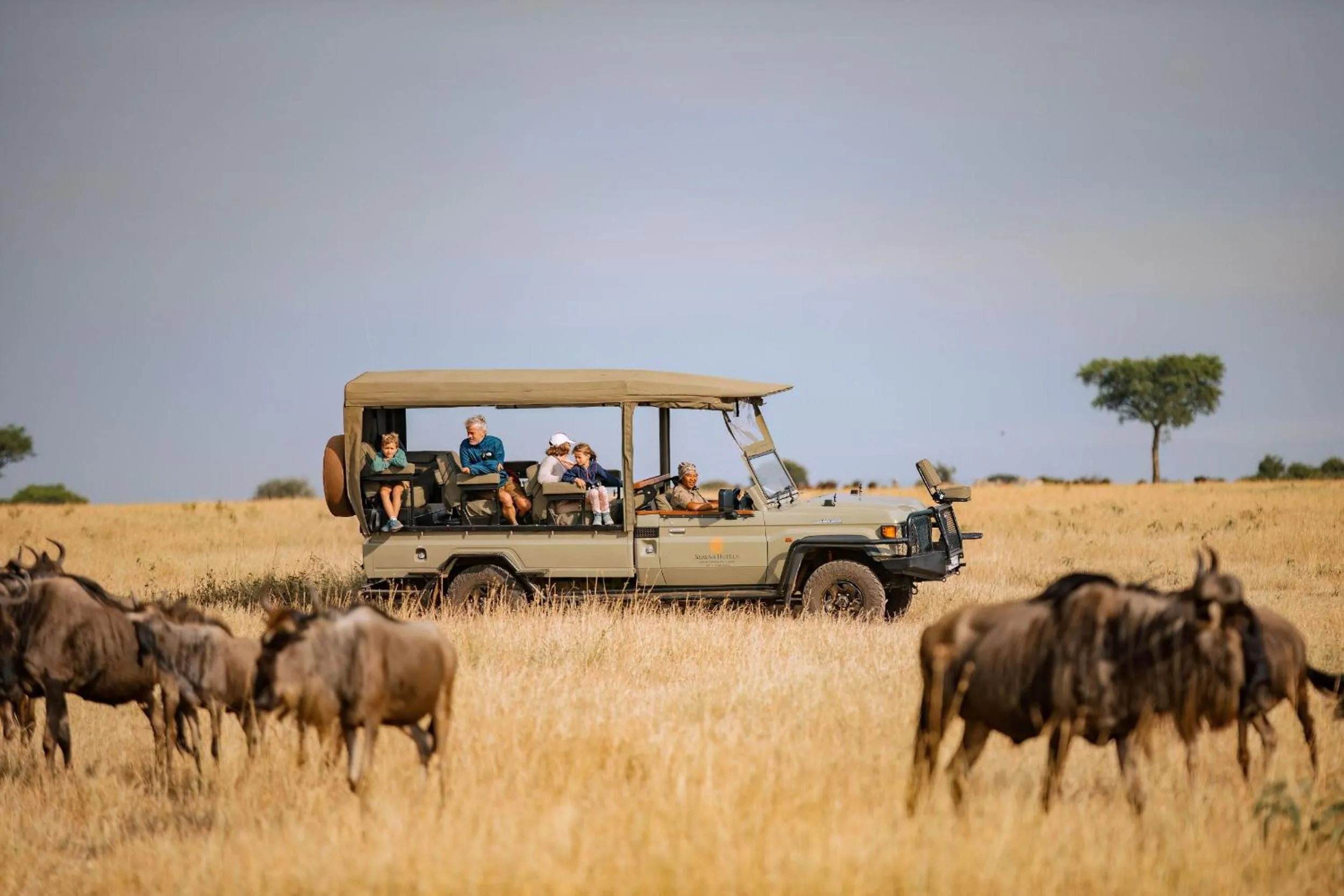 Activities in Kirawira Serena Camp