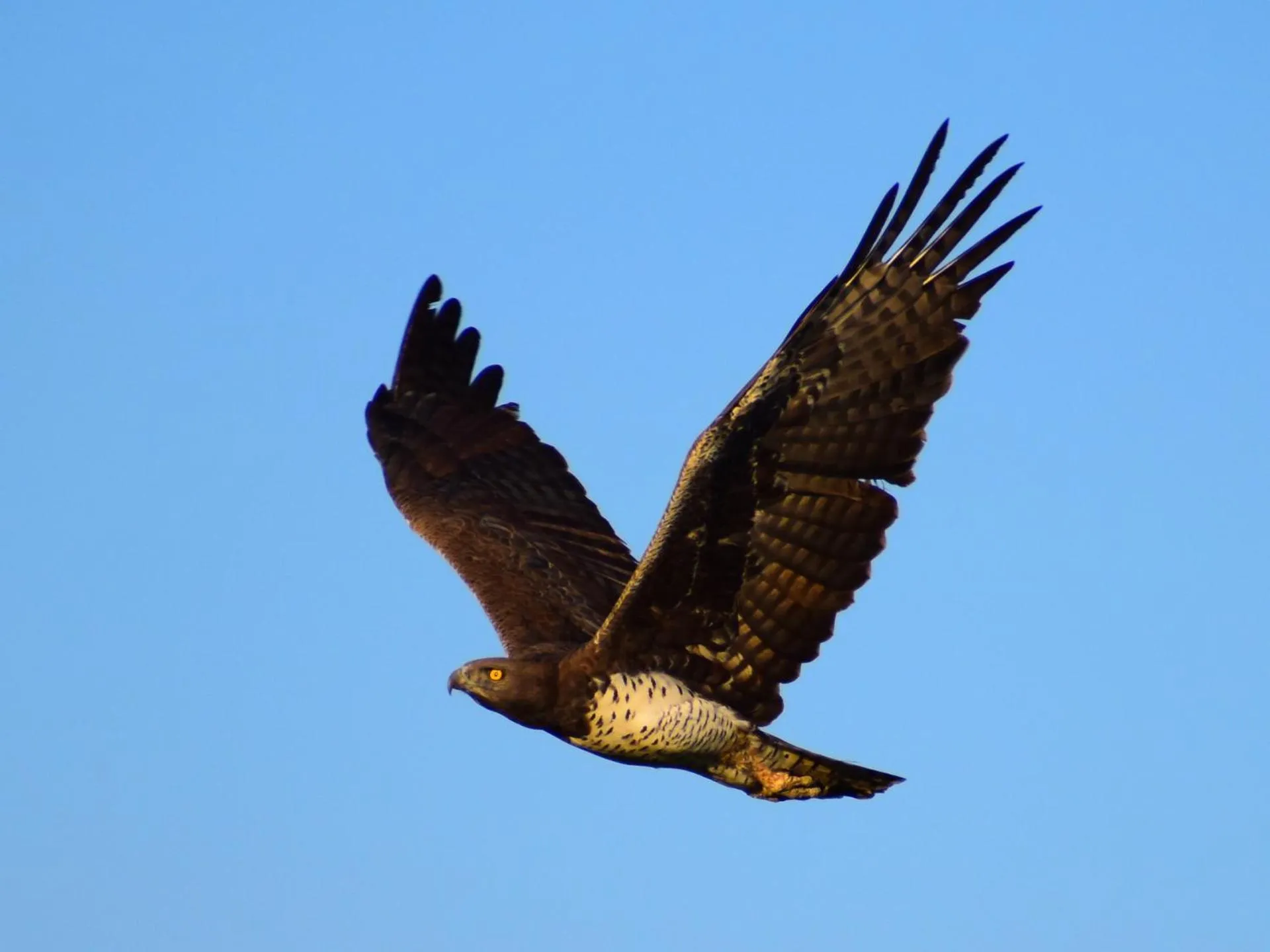 Bird's eye view in Lake Elmenteita Serena Camp