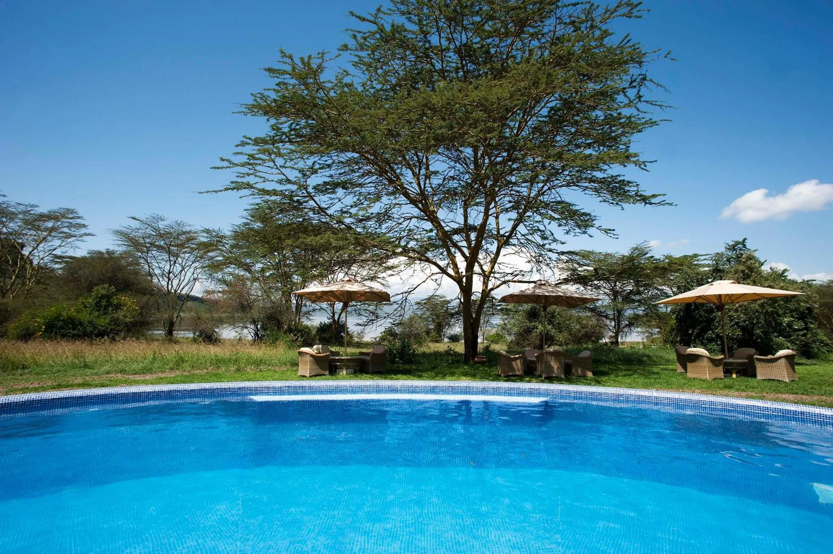 Pool view in Lake Elmenteita Serena Camp