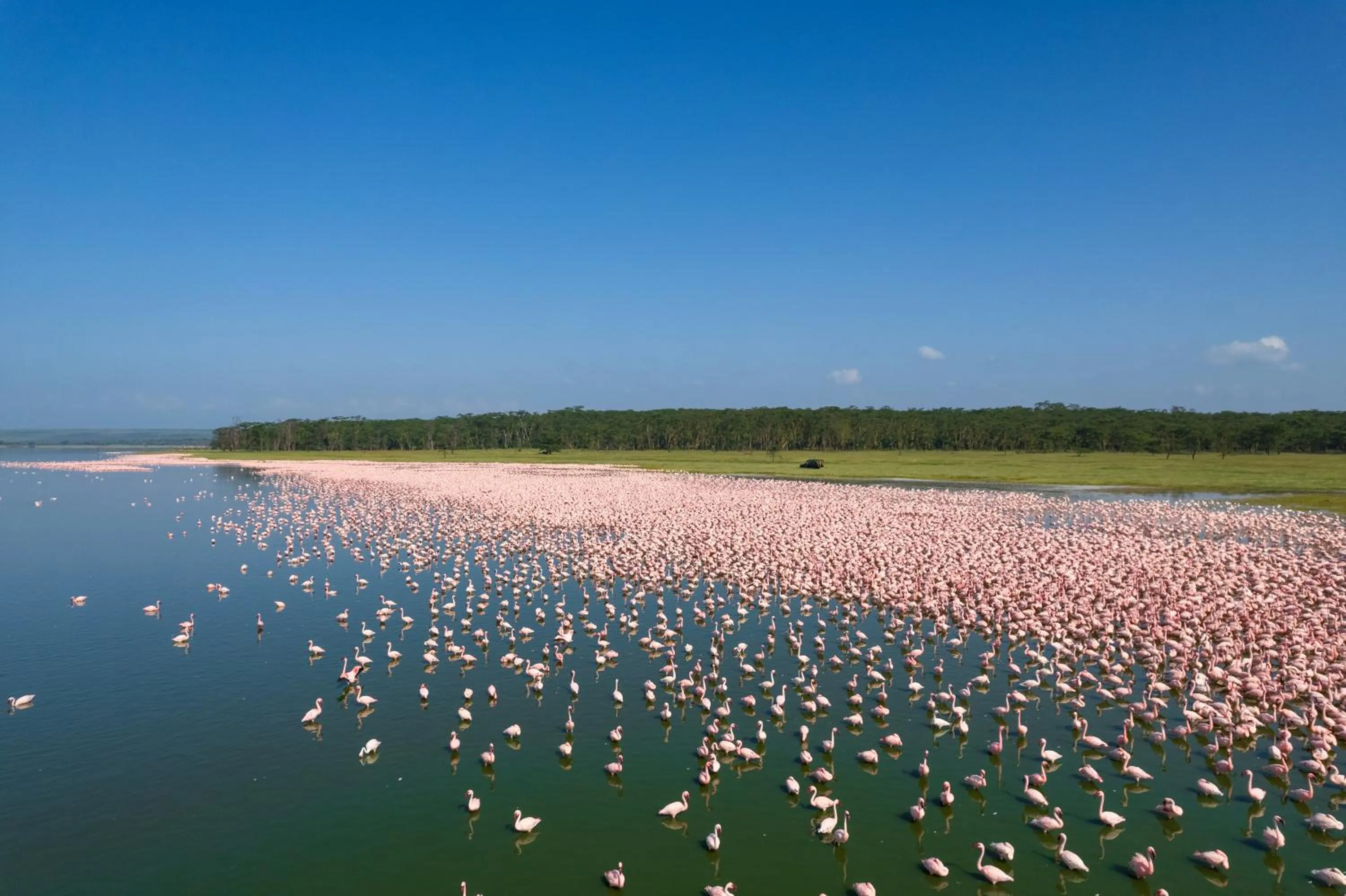 Property building in Lake Elmenteita Serena Camp