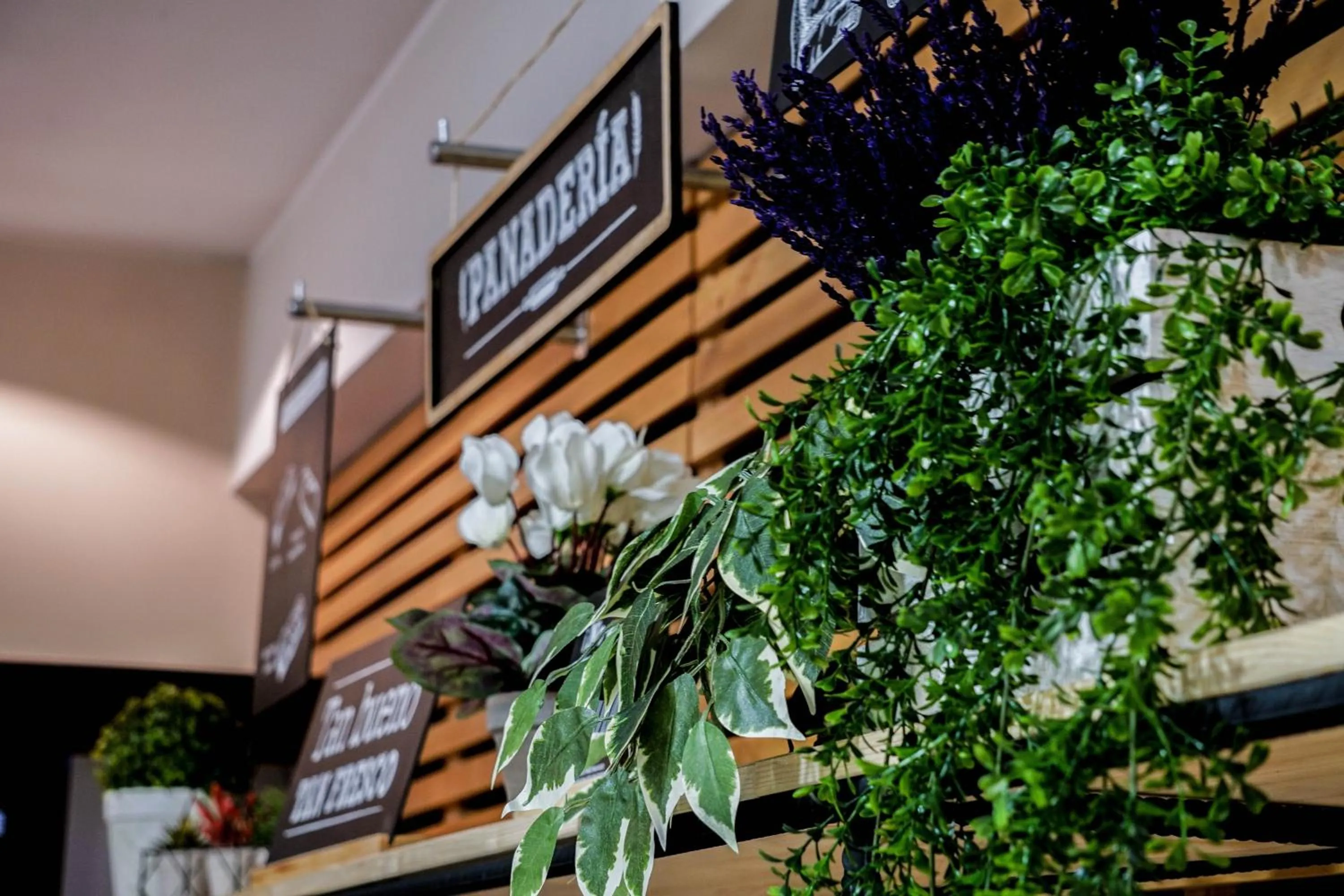 Restaurant/places to eat in Ibis Girona