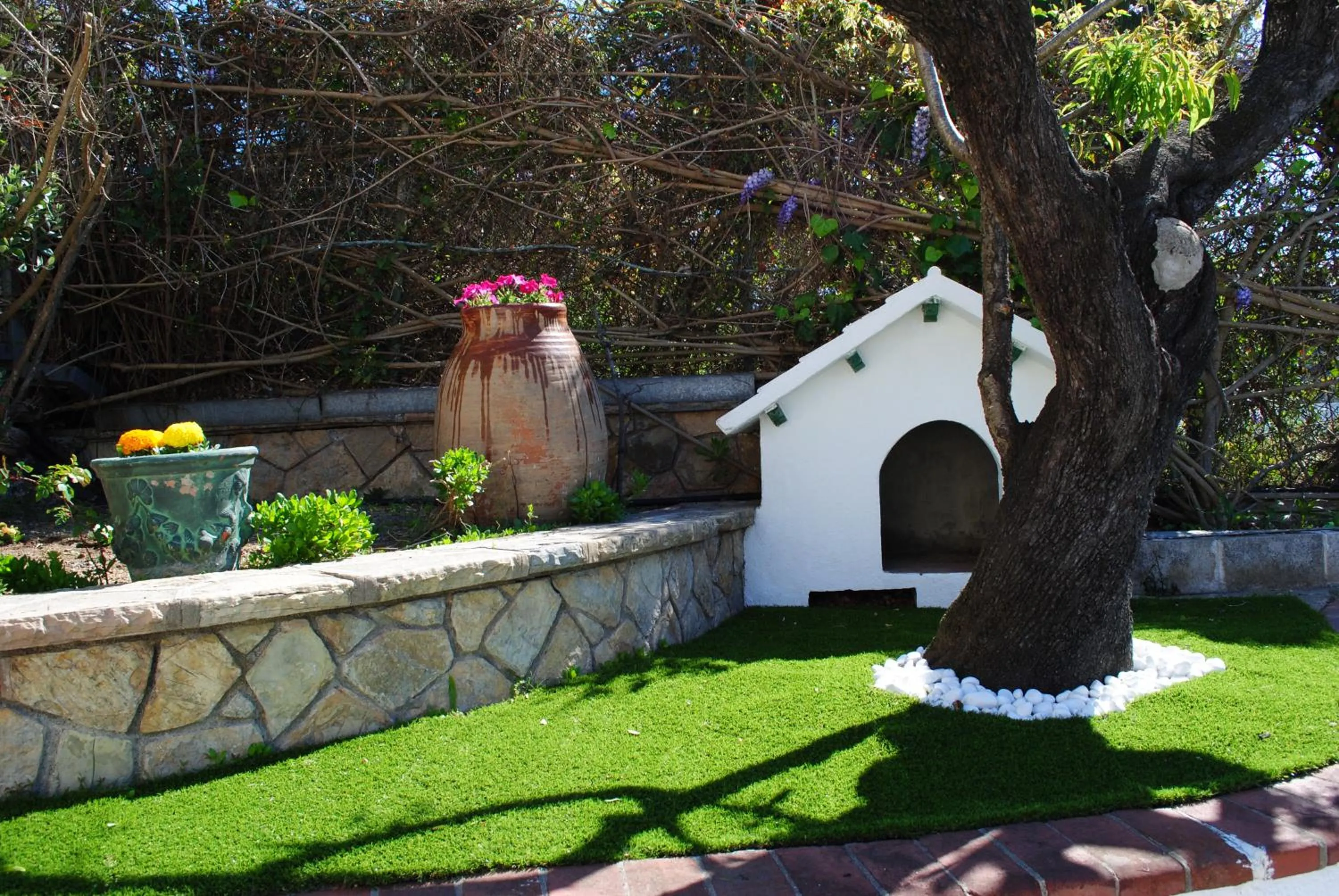 Garden in Hotel Bonsol ADULTS ONLY