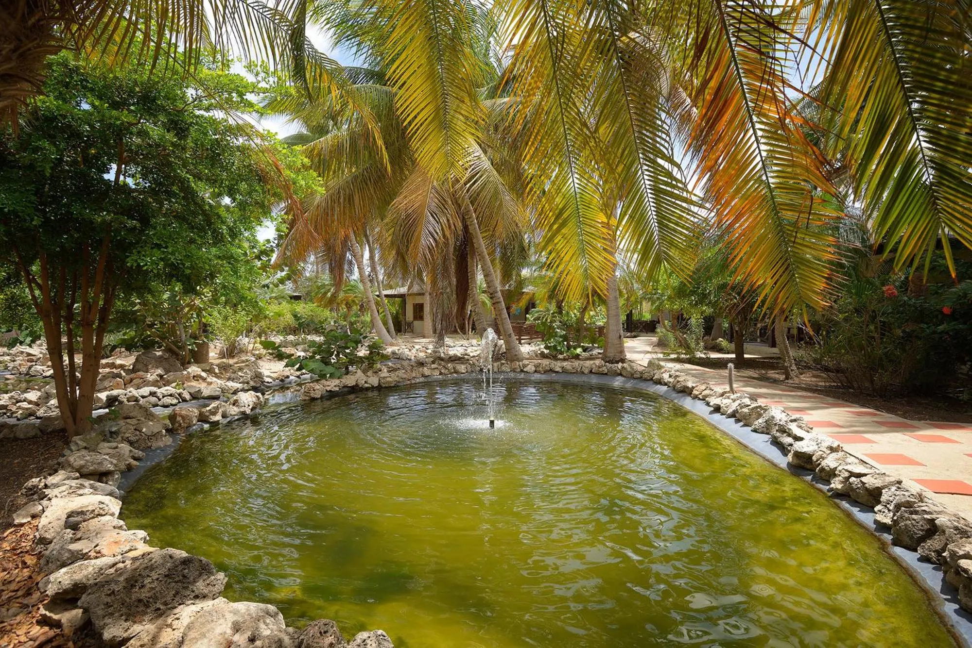 Garden in Captain Don's Habitat