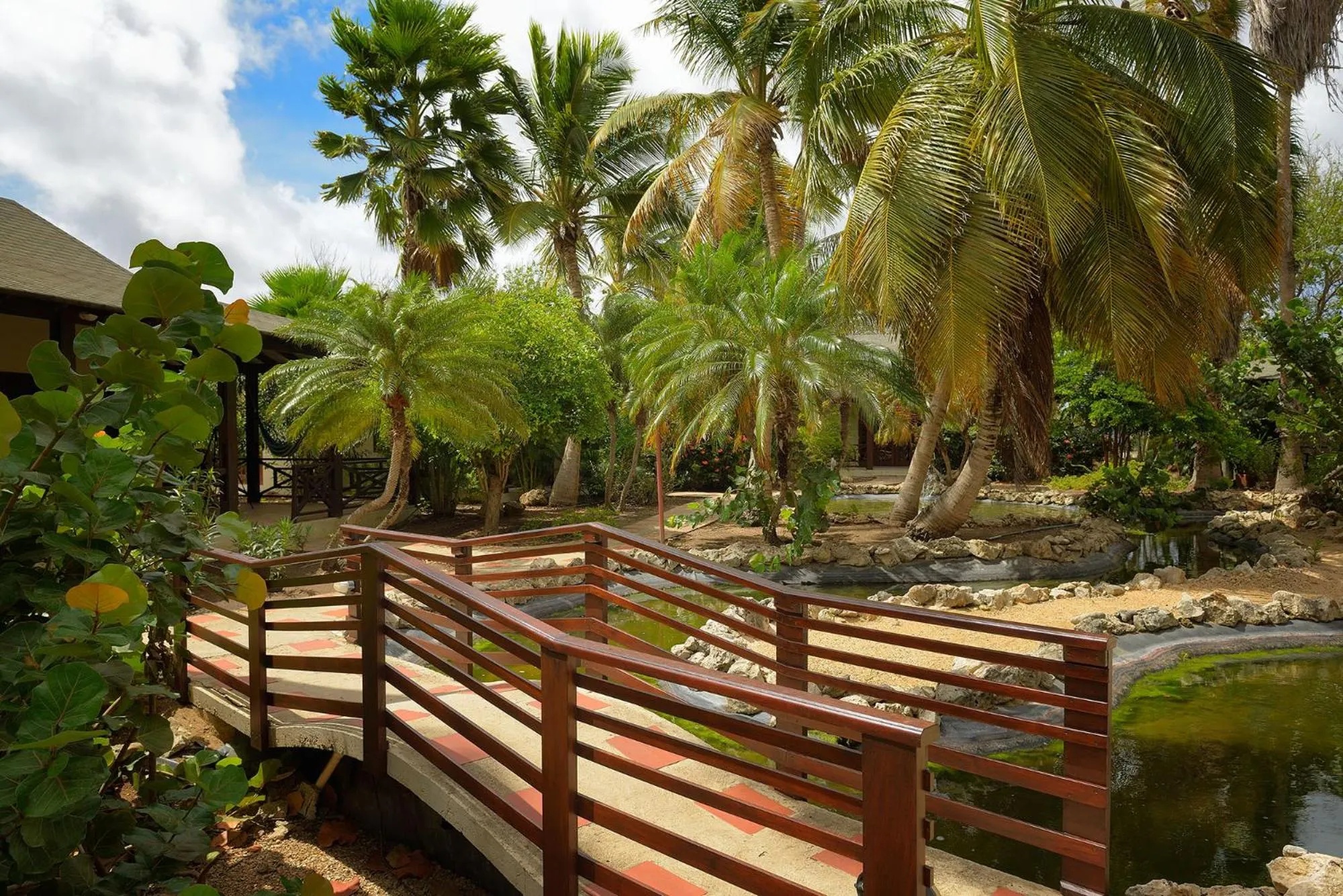 Garden in Captain Don's Habitat