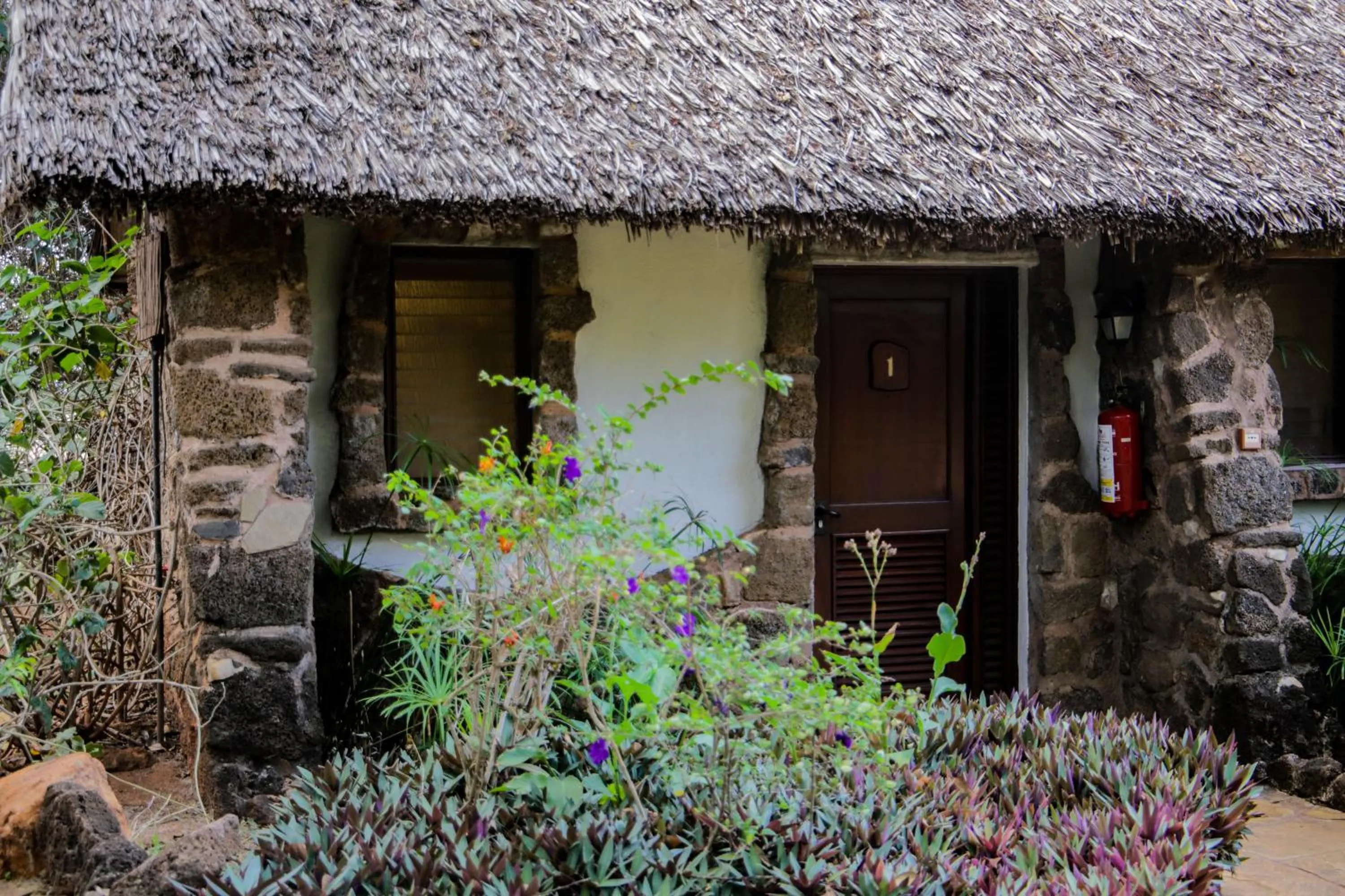 View (from property/room) in Kilaguni Serena Safari Lodge