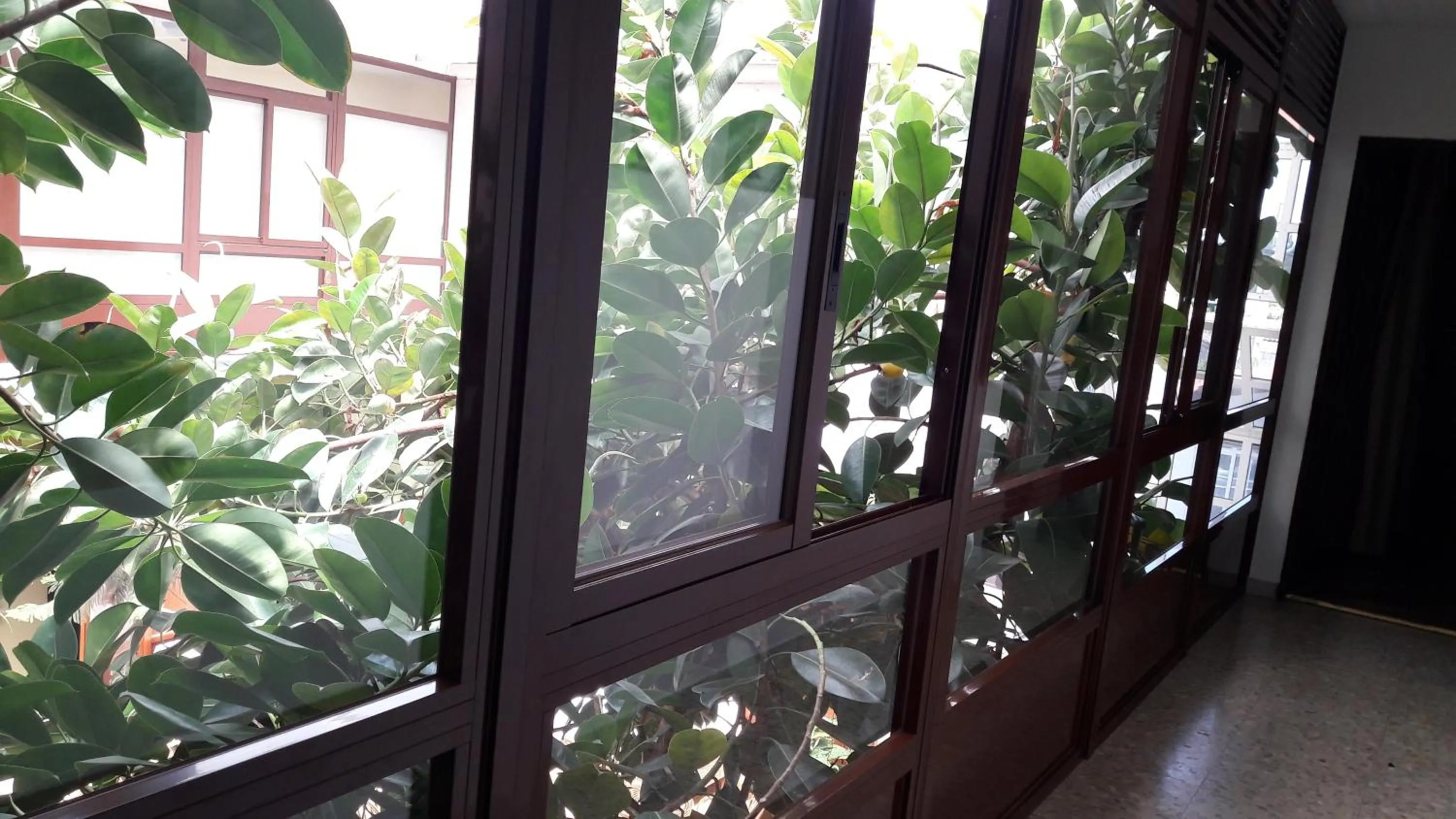 Balcony/Terrace in Hotel Torres Touriño