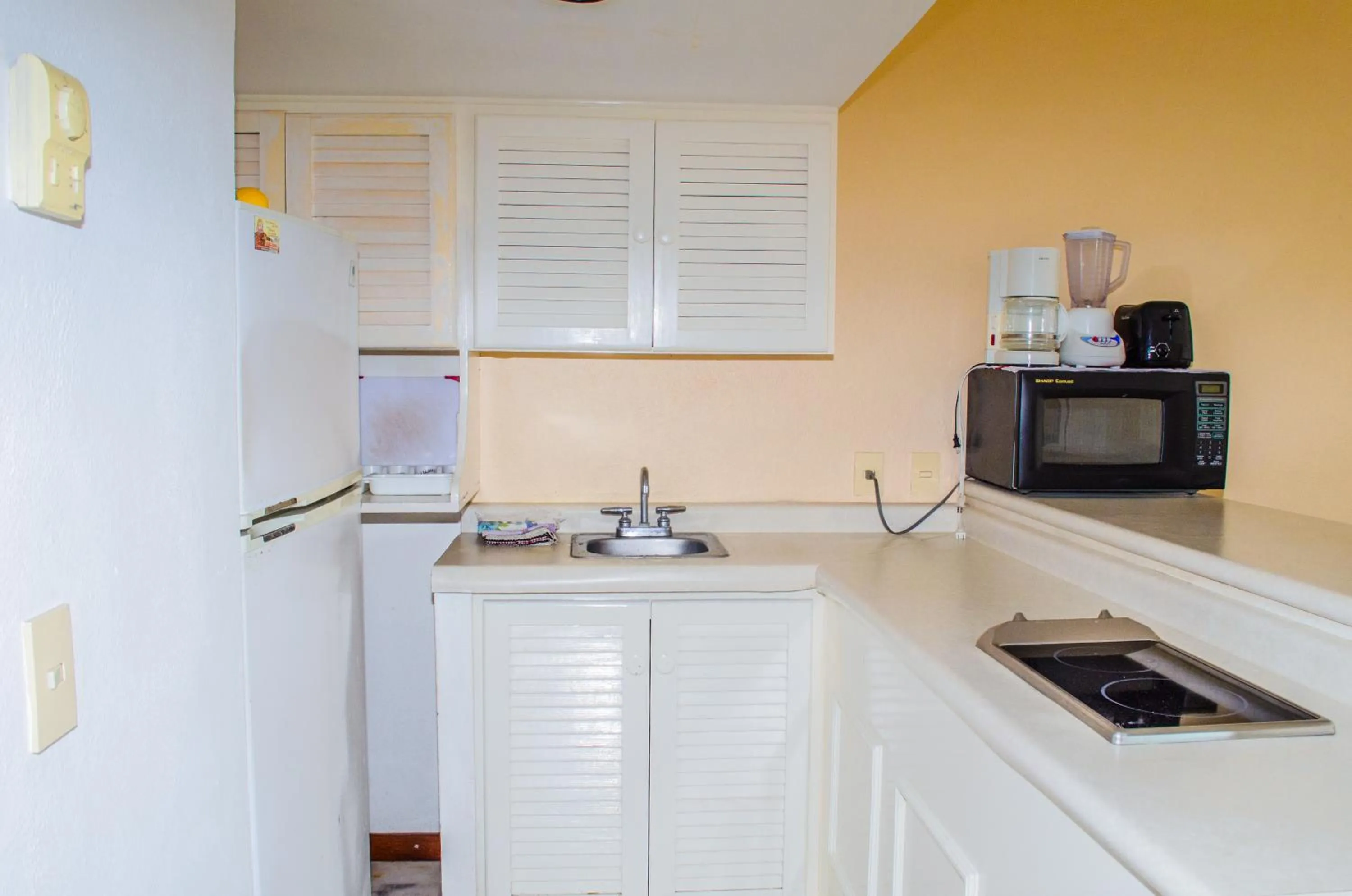 ENNA INN IXTAPA DEPARTAMENTO 01 RECAMARA ViSTA MAR