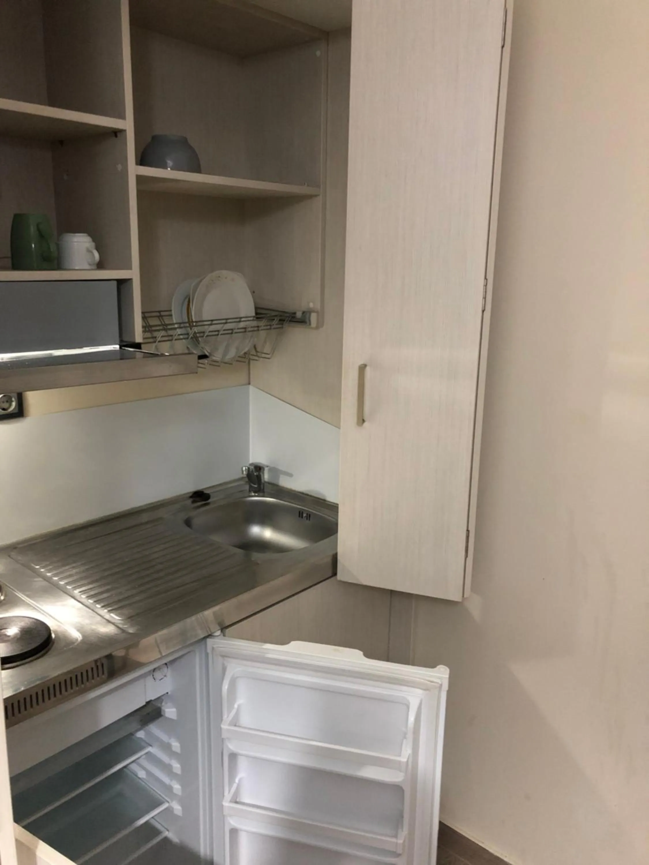 Kitchen or kitchenette in roomotel