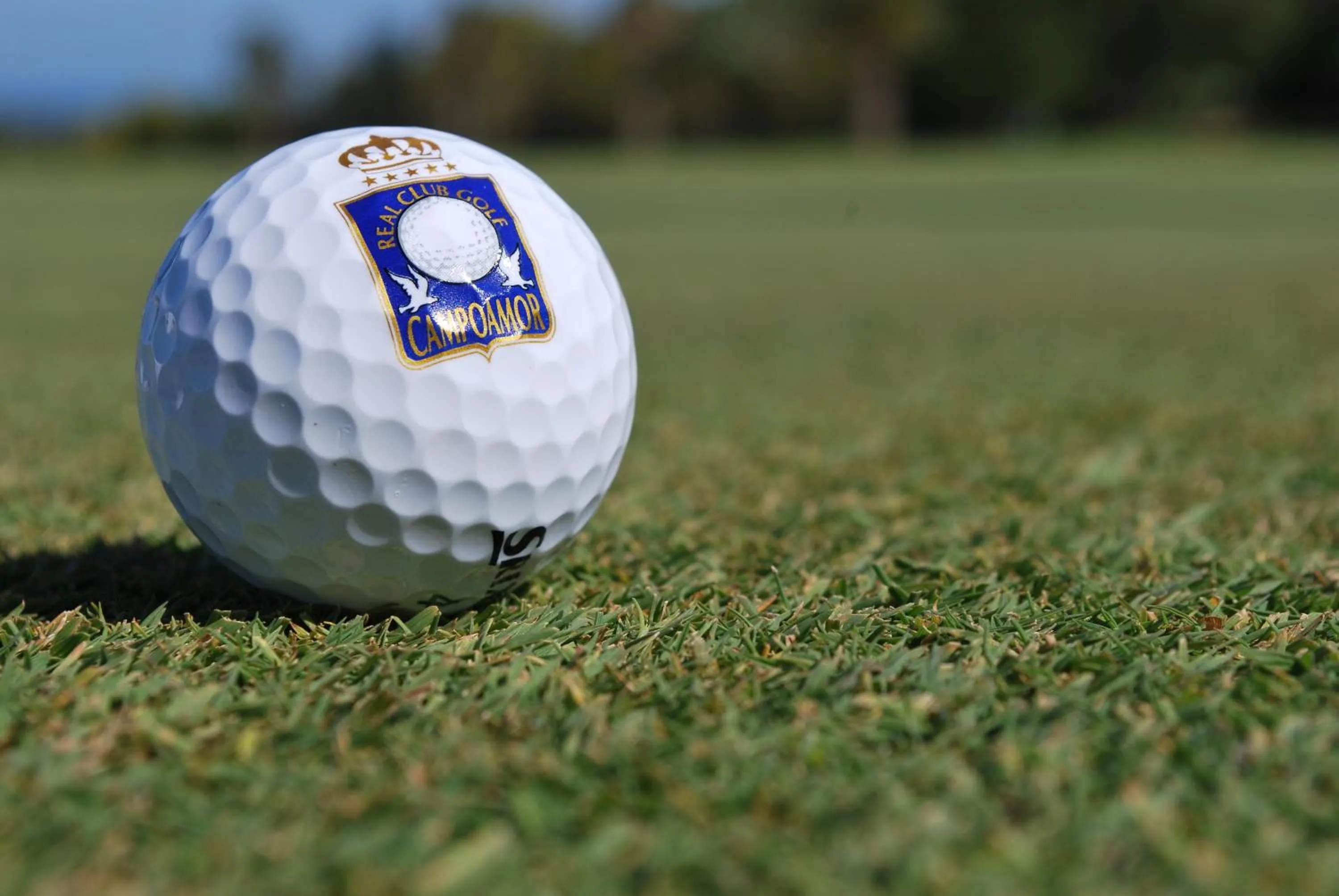 Golfcourse in Hotel Golf Campoamor