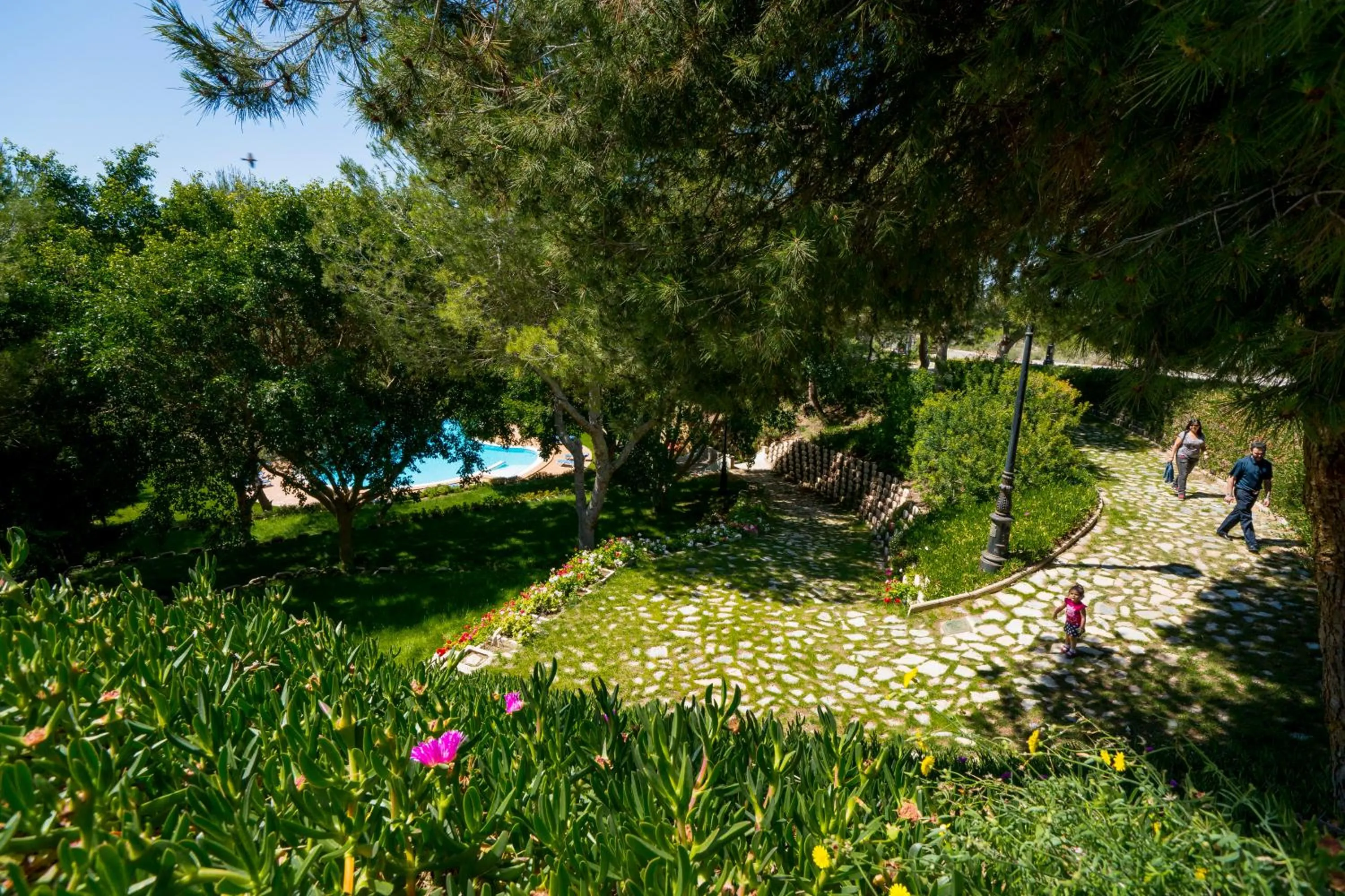 Garden in Hotel Golf Campoamor