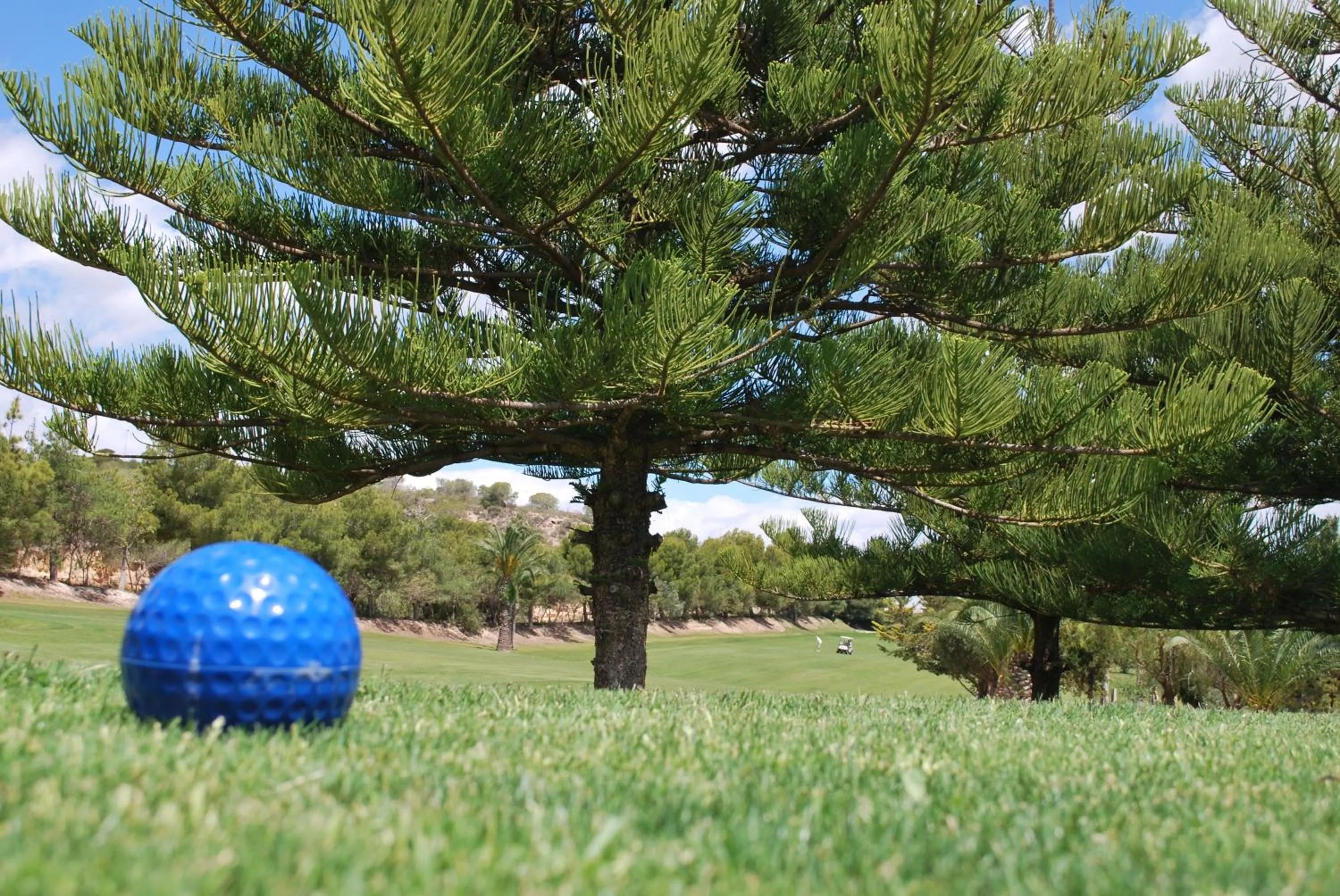 Golfcourse in Hotel Golf Campoamor