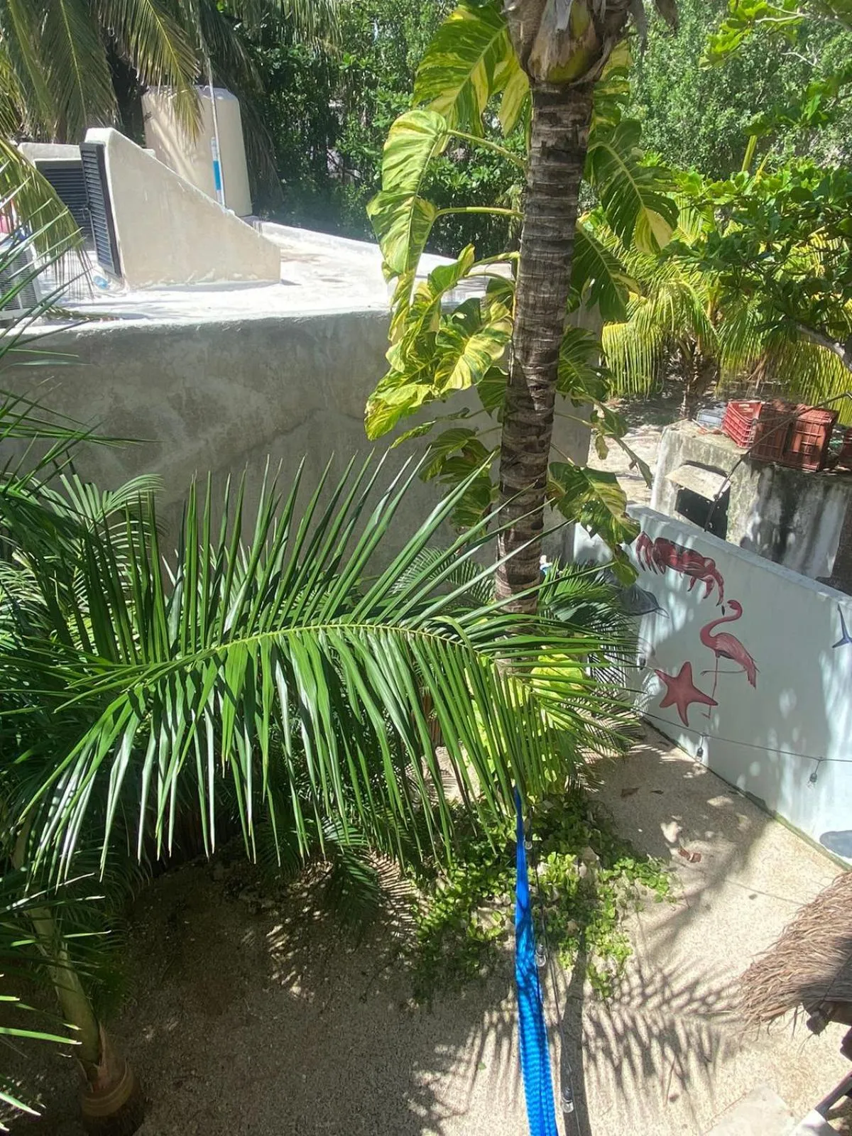 Patio in Hotel Pelecanus Suites Holbox