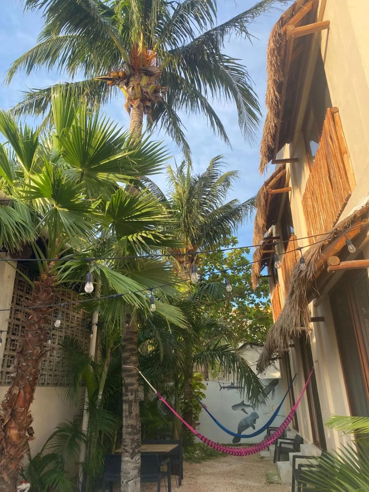 Spring in Hotel Pelecanus Suites Holbox