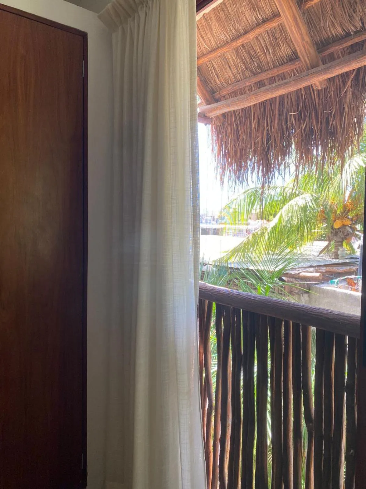 Patio in Hotel Pelecanus Suites Holbox