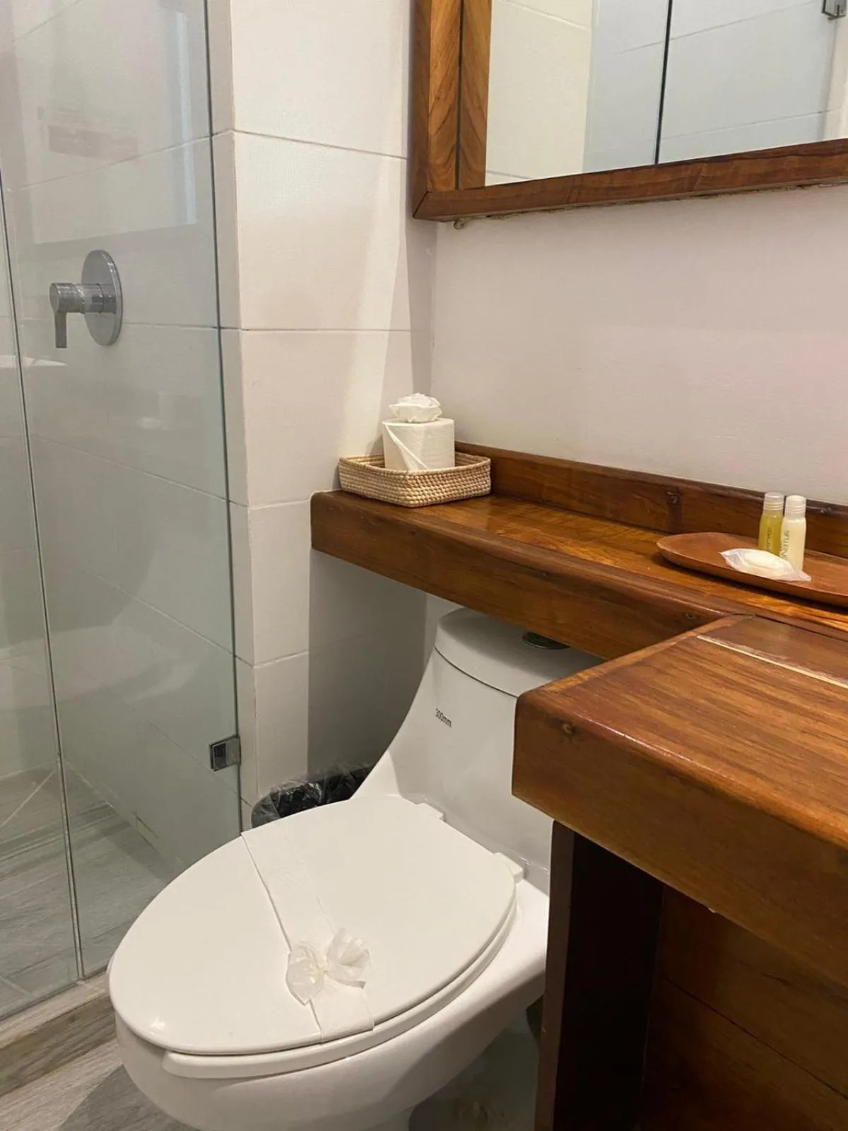 Bathroom in Hotel Pelecanus Suites Holbox