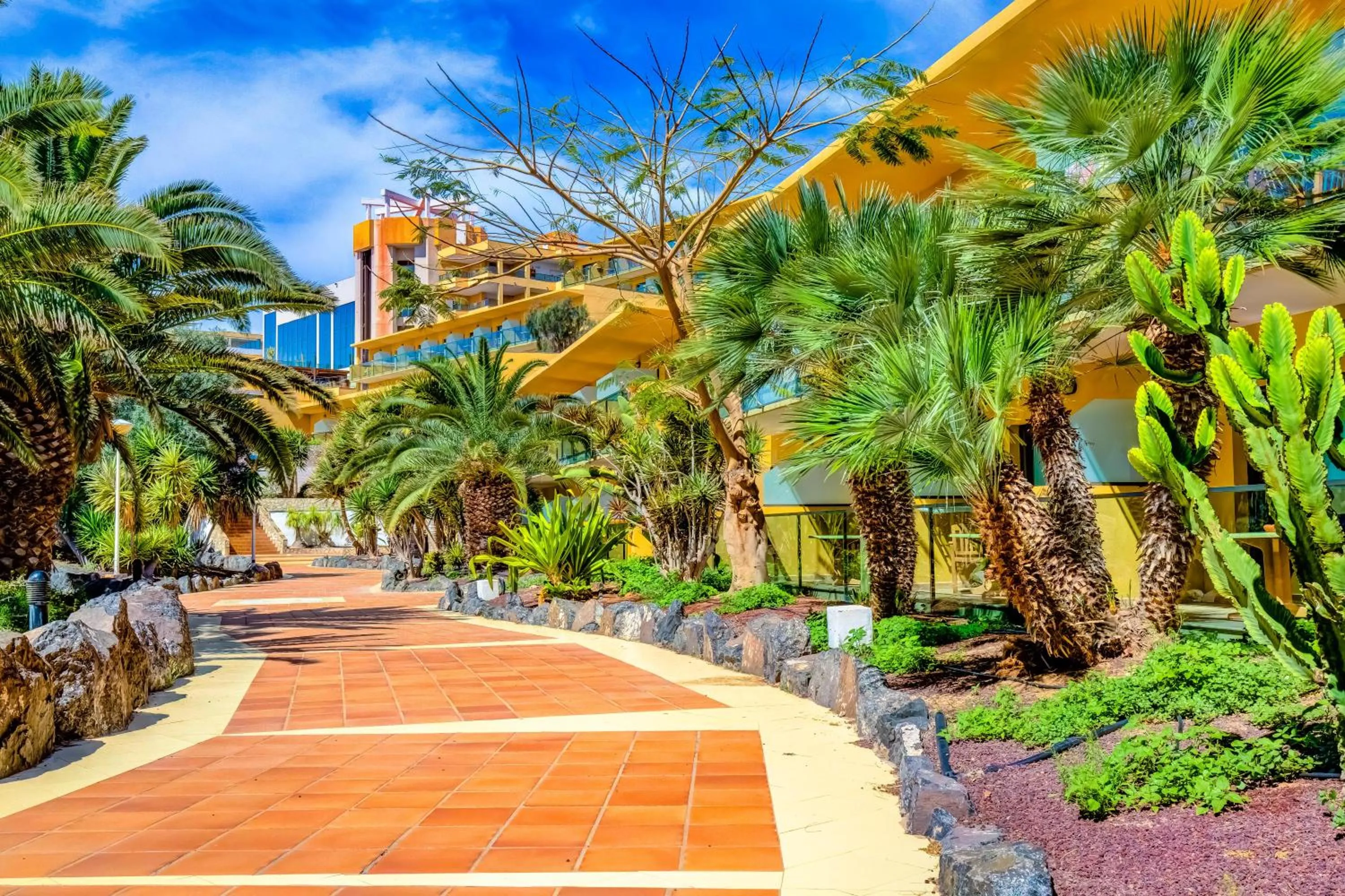 Garden in SBH Club Paraiso Playa