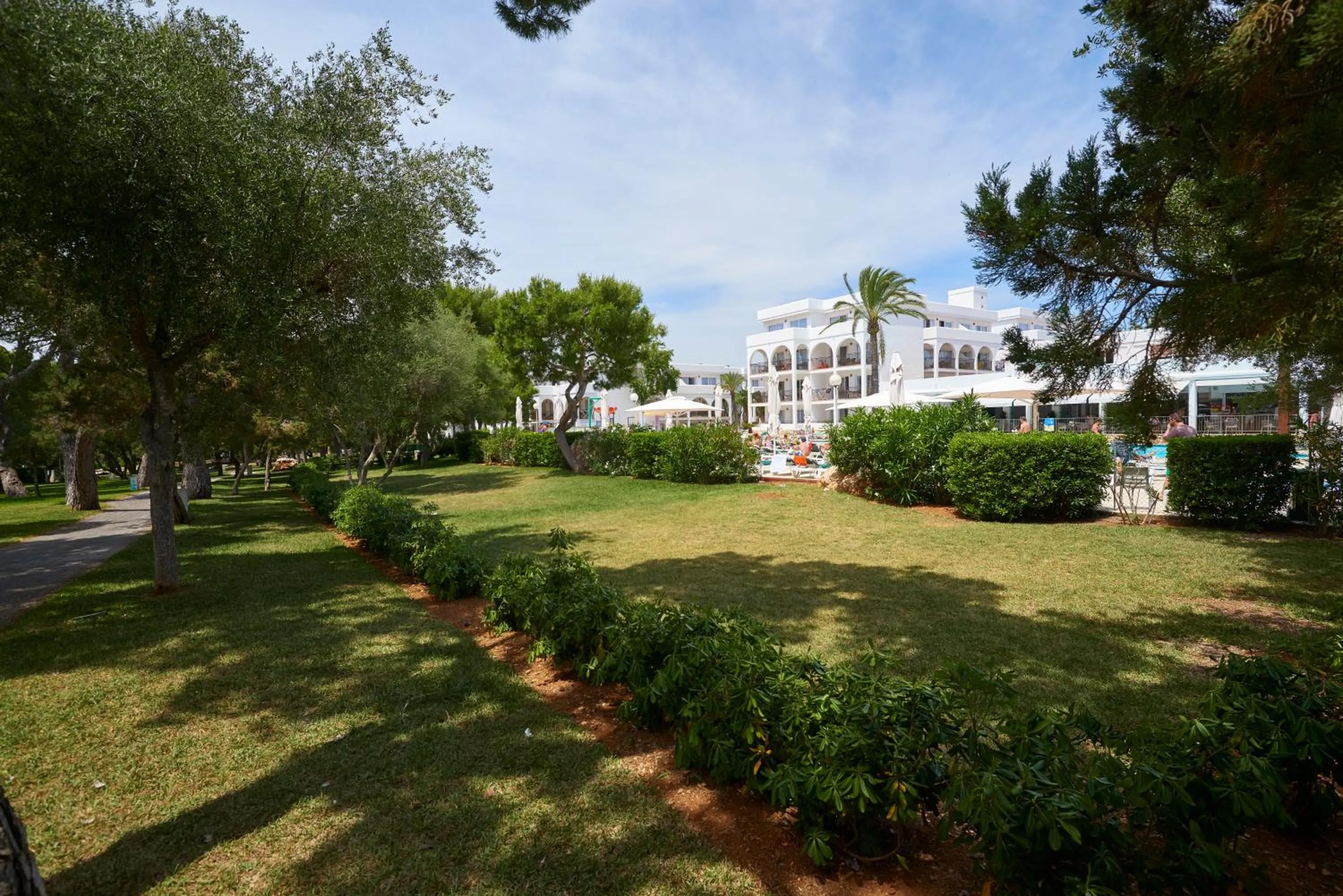 Garden in Hotel Cala d'Or Playa