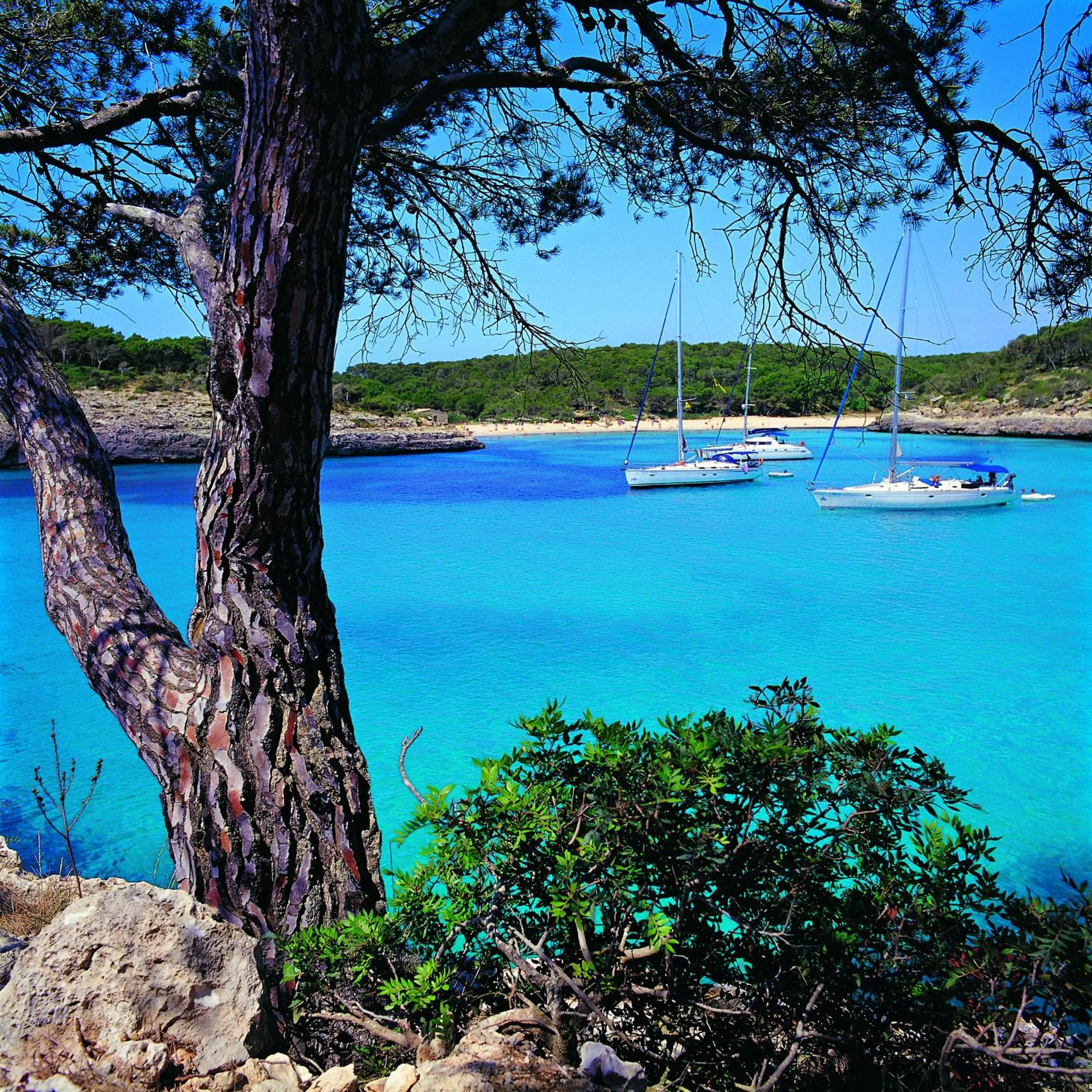 Nearby landmark in Hotel Cala d'Or Playa