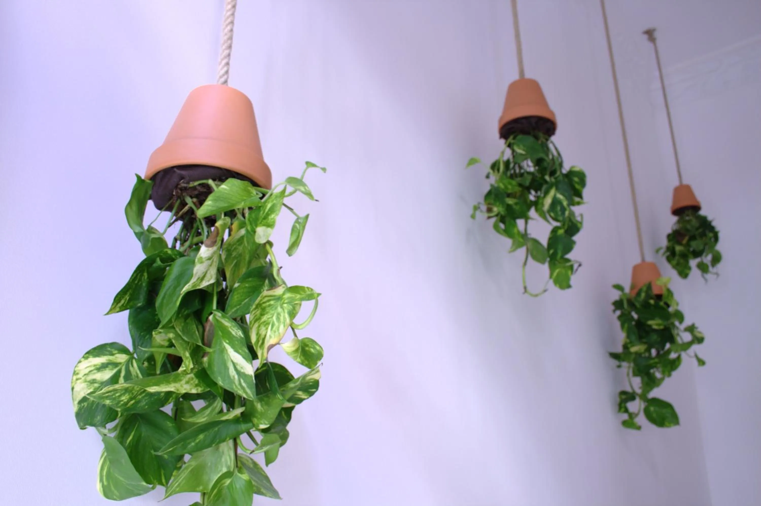 Day in ABCyou Bed&Breakfast