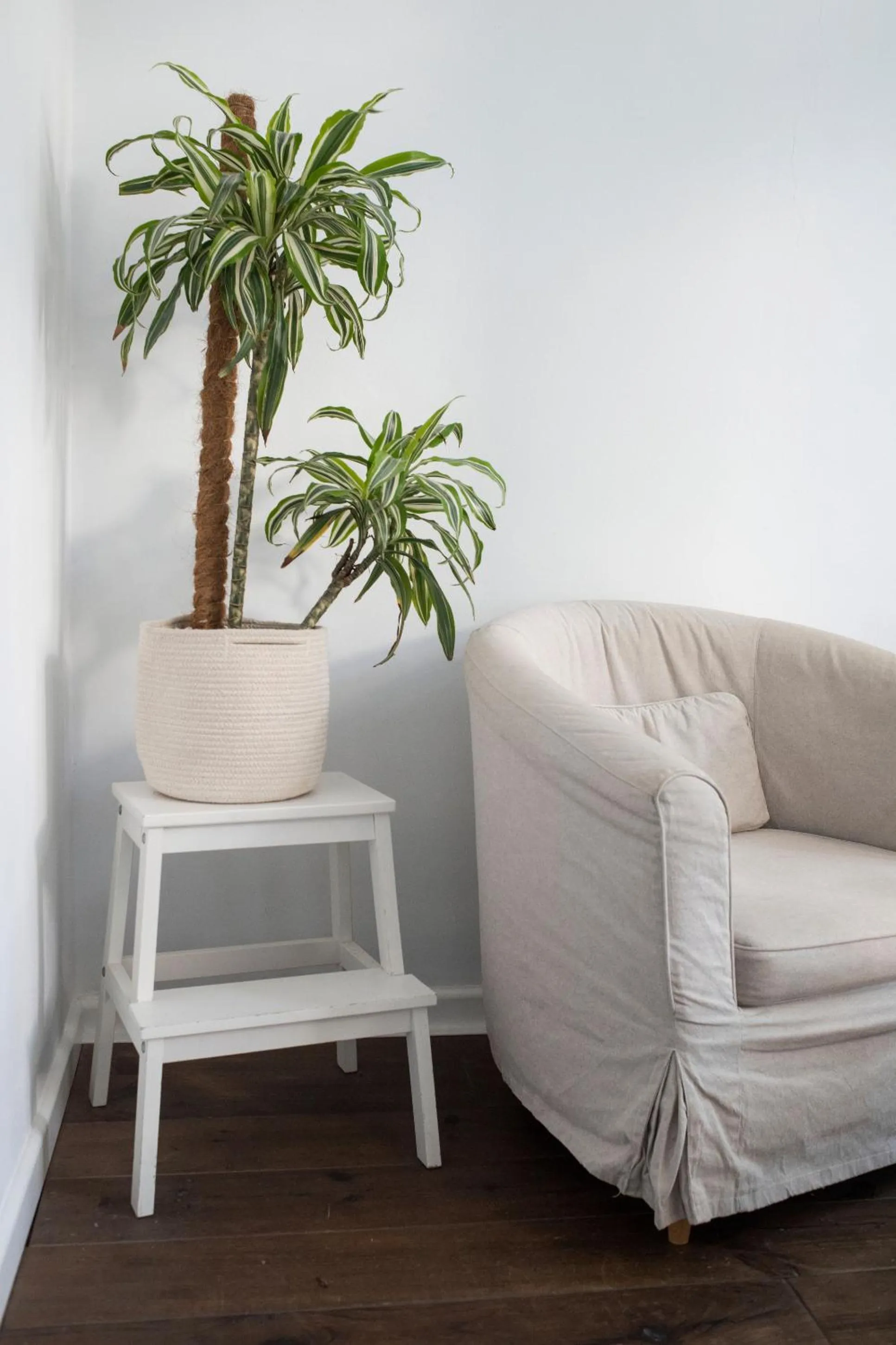 Living room in ABCyou Bed&Breakfast