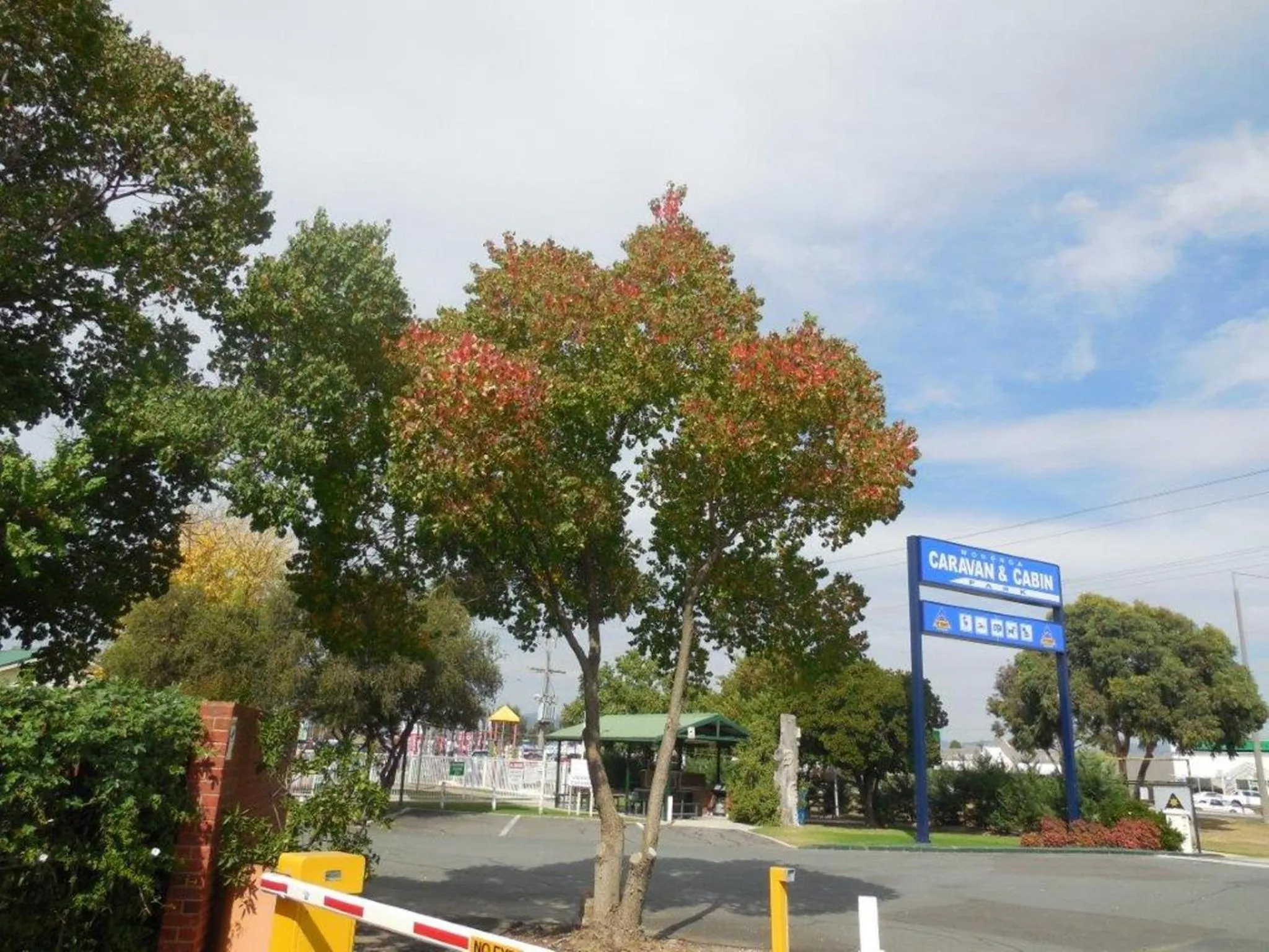 Autumn in Wodonga Caravan & Cabin Park
