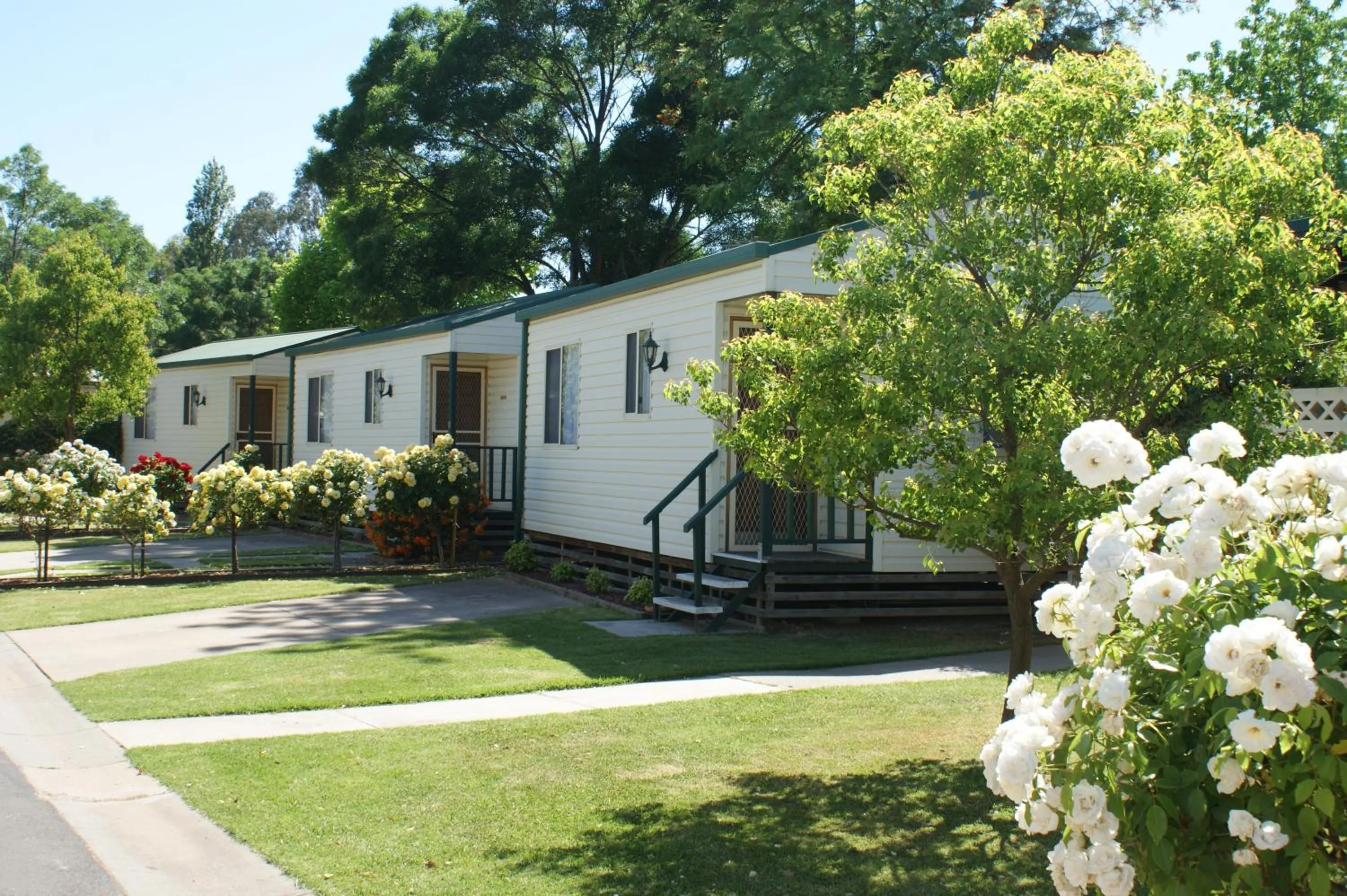 Summer in Wodonga Caravan & Cabin Park
