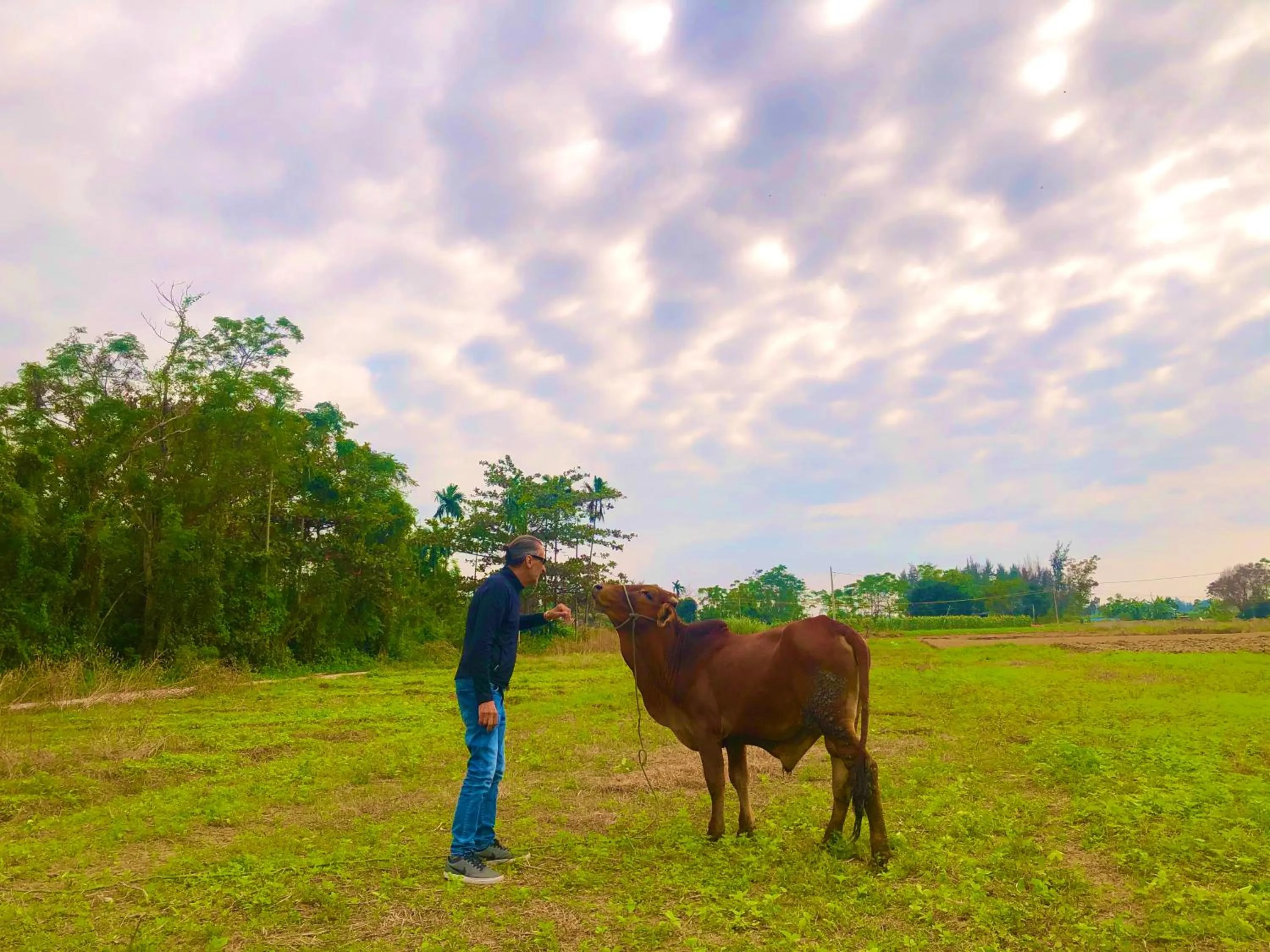 People in Rural Scene Villa