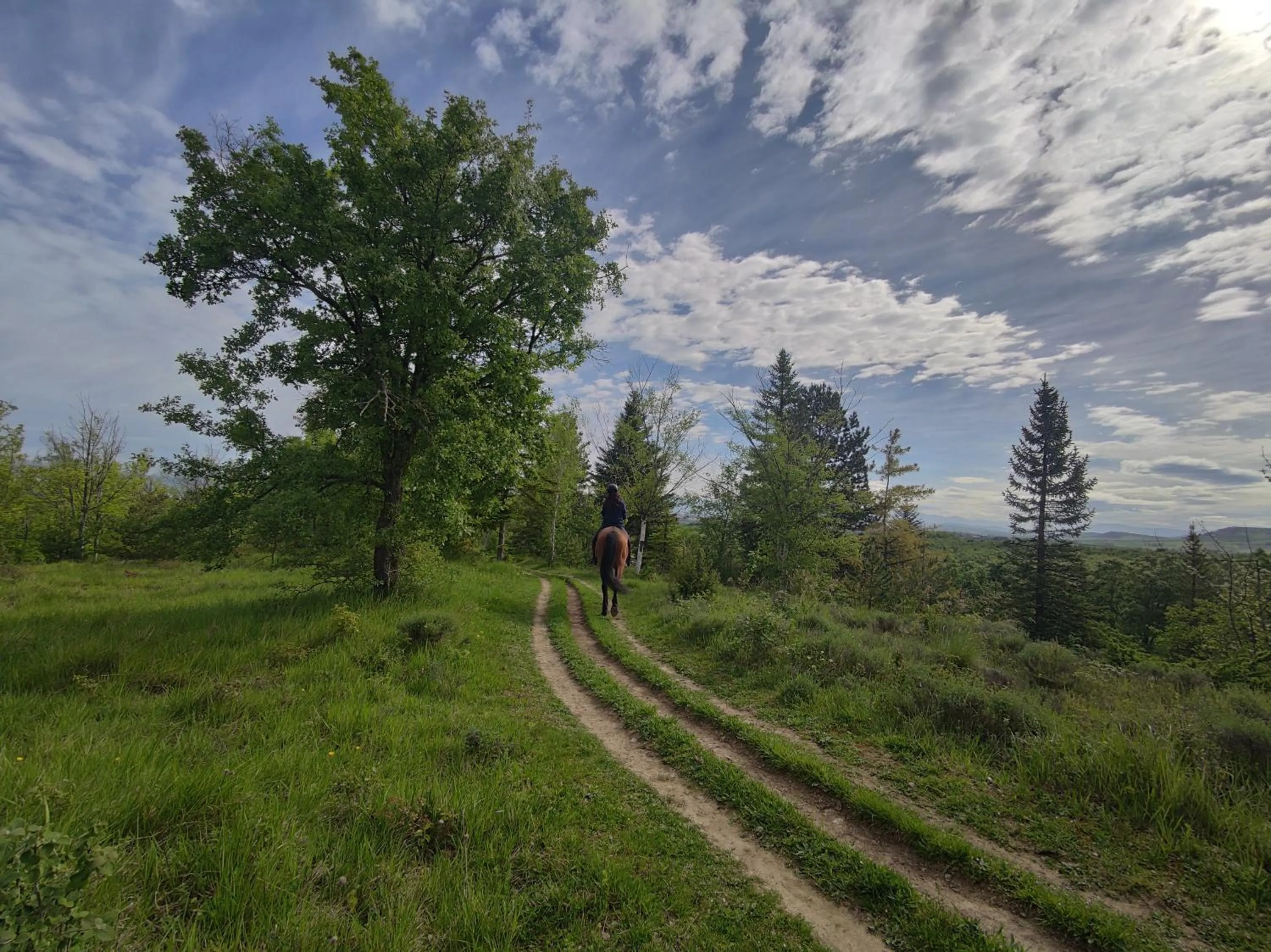 Horse-riding in Hotel Jardines de Uleta Suites