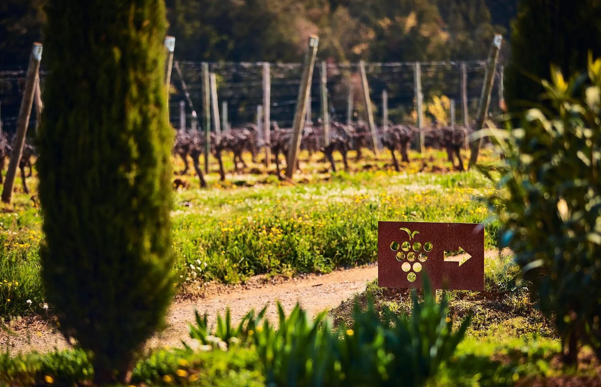 Natural landscape in Hotel Castell d'Emporda