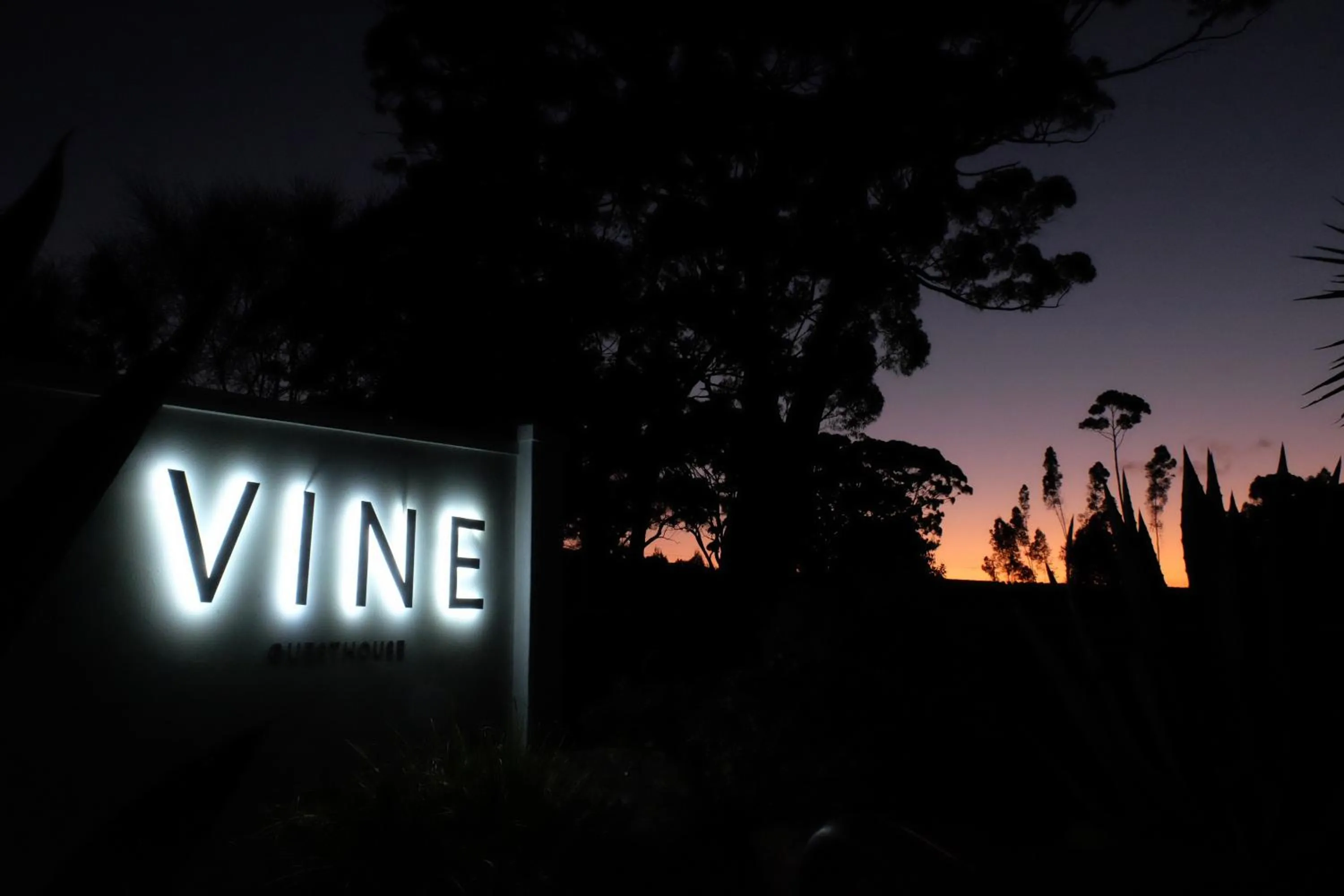 Property logo or sign in Vine Guesthouse