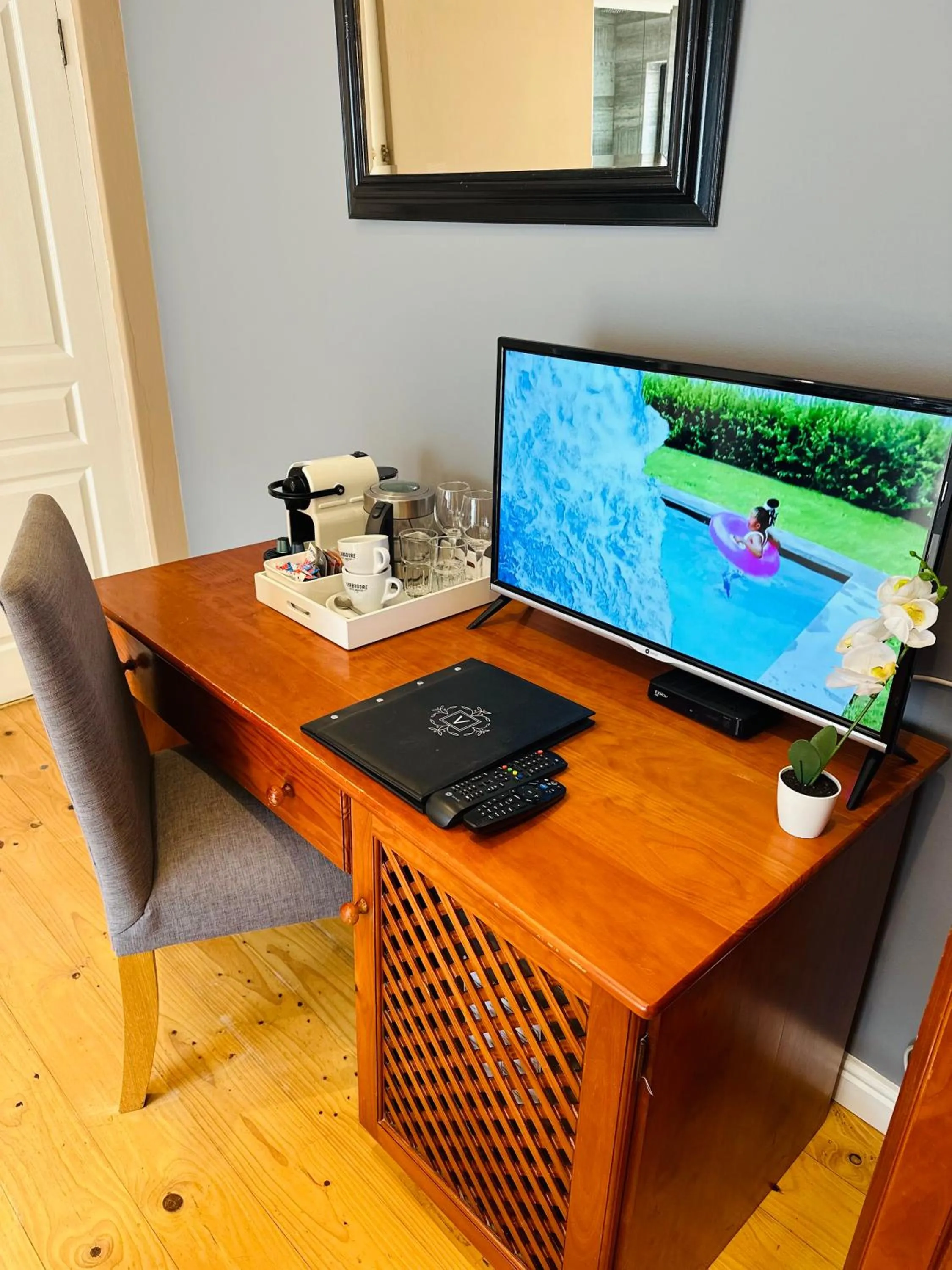 TV and multimedia in Vine Guesthouse