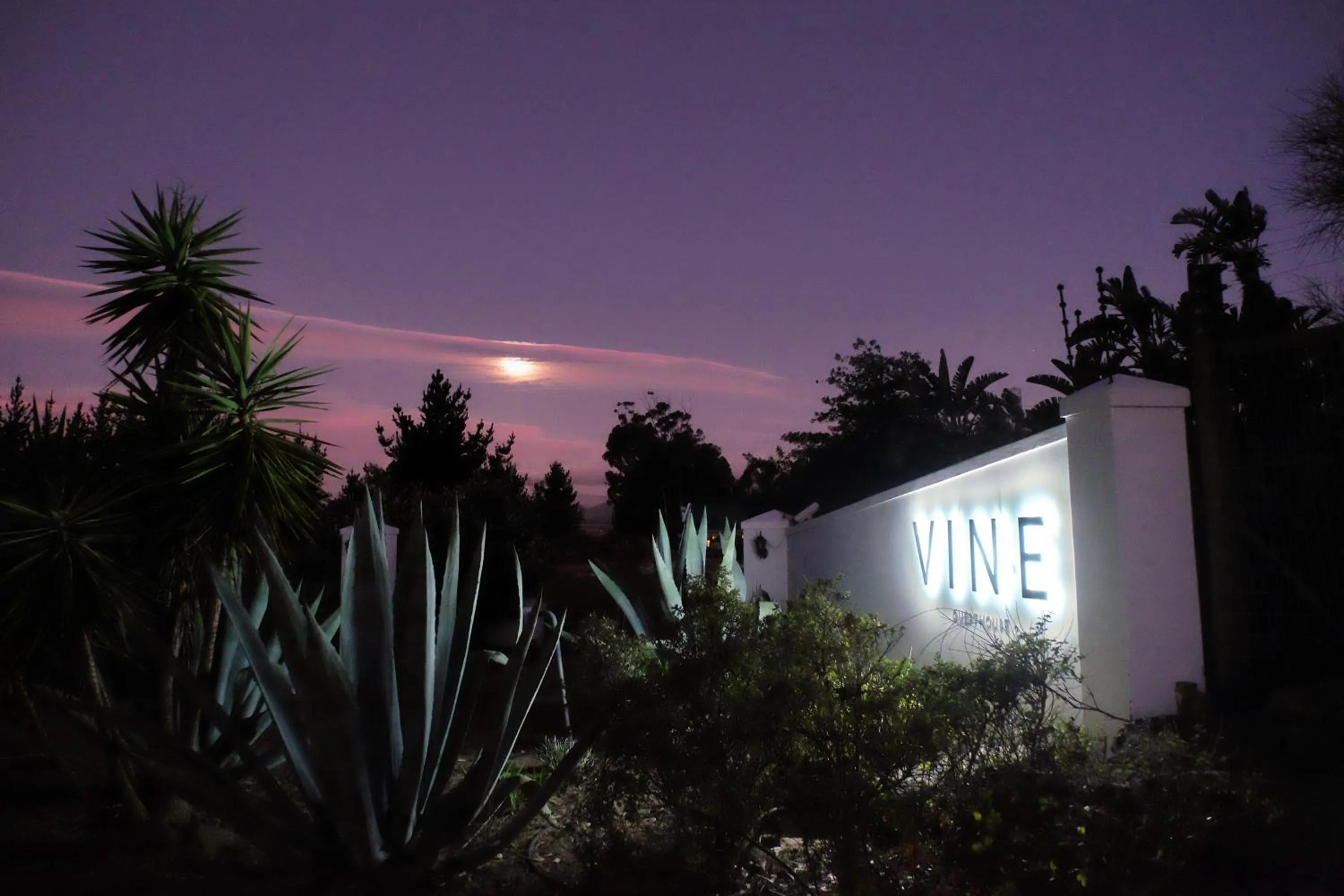Facade/entrance in Vine Guesthouse