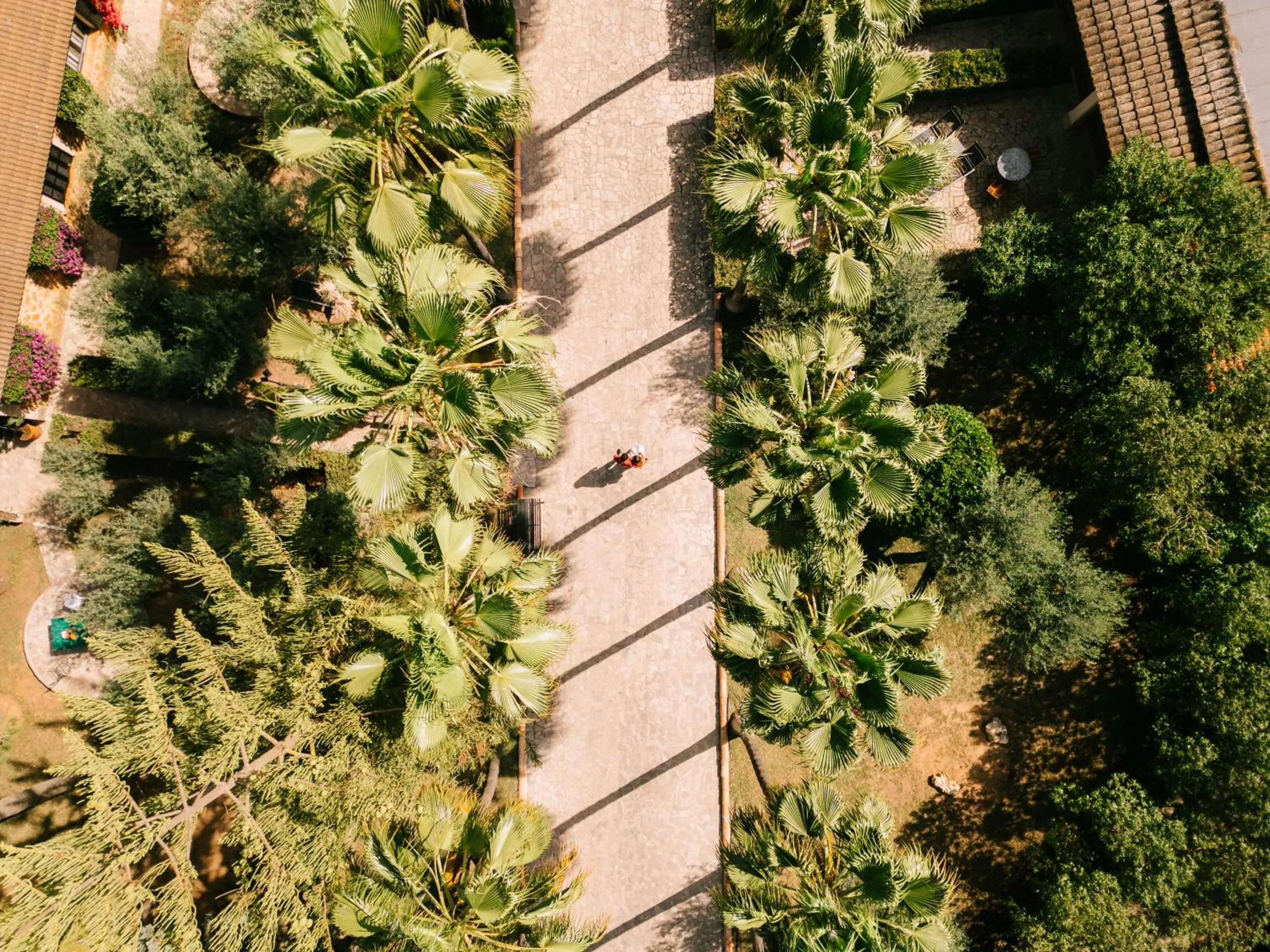 Lobby or reception in Hotel Son Molí Country House