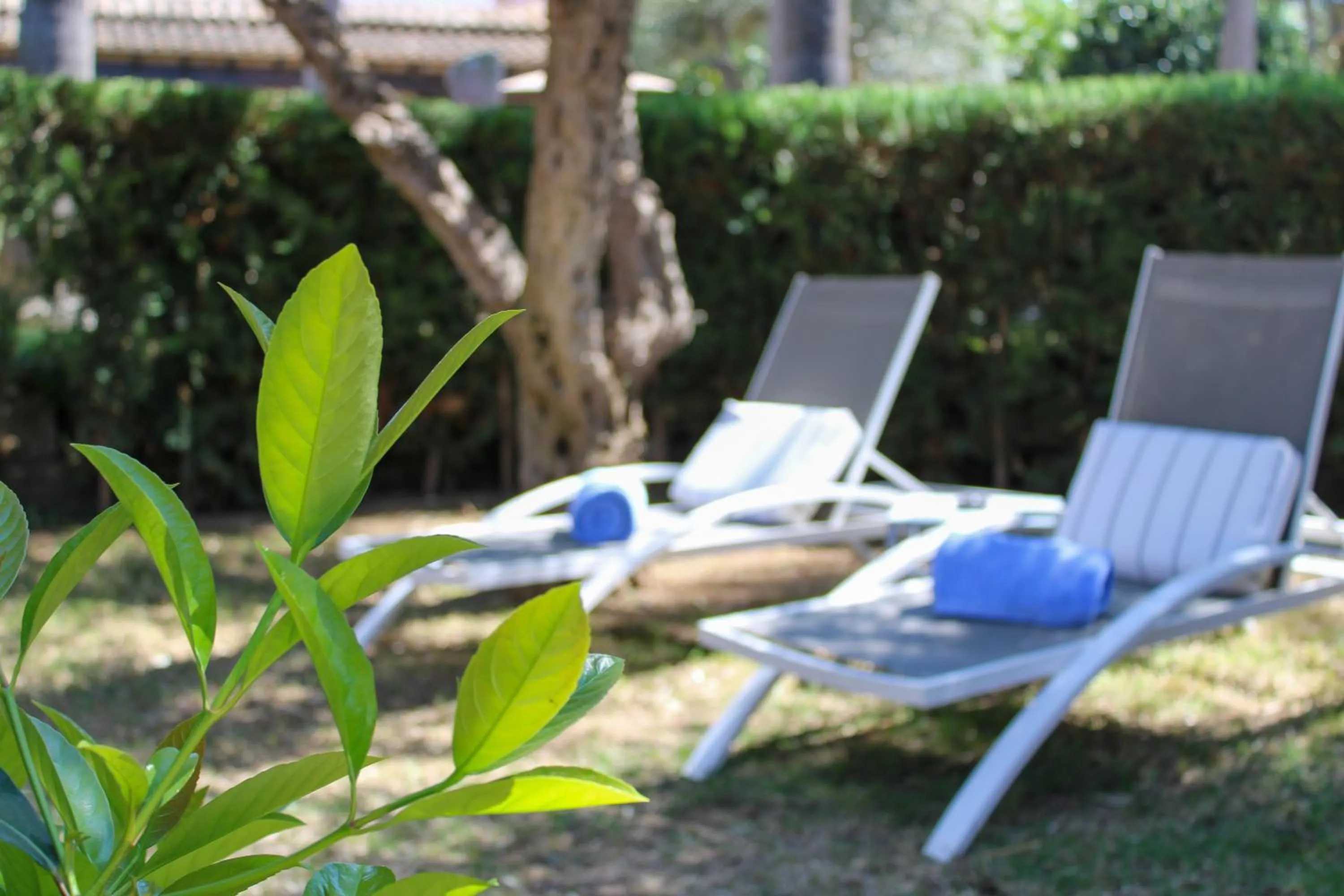 Balcony/Terrace in Posada d' Es Molí